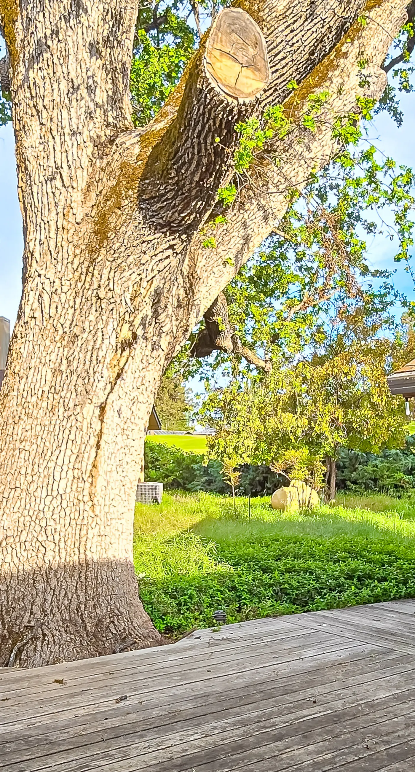Pleasant Pines Retreat