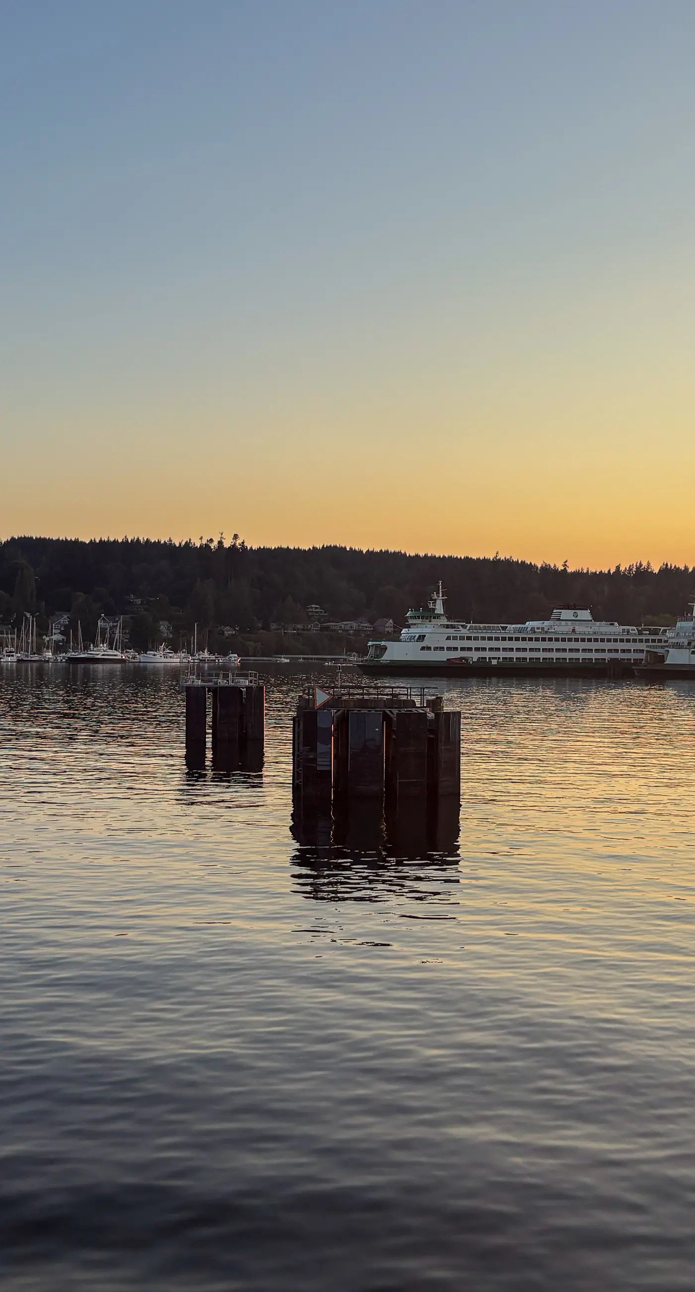 Eagle Harbor House World Cup Availability