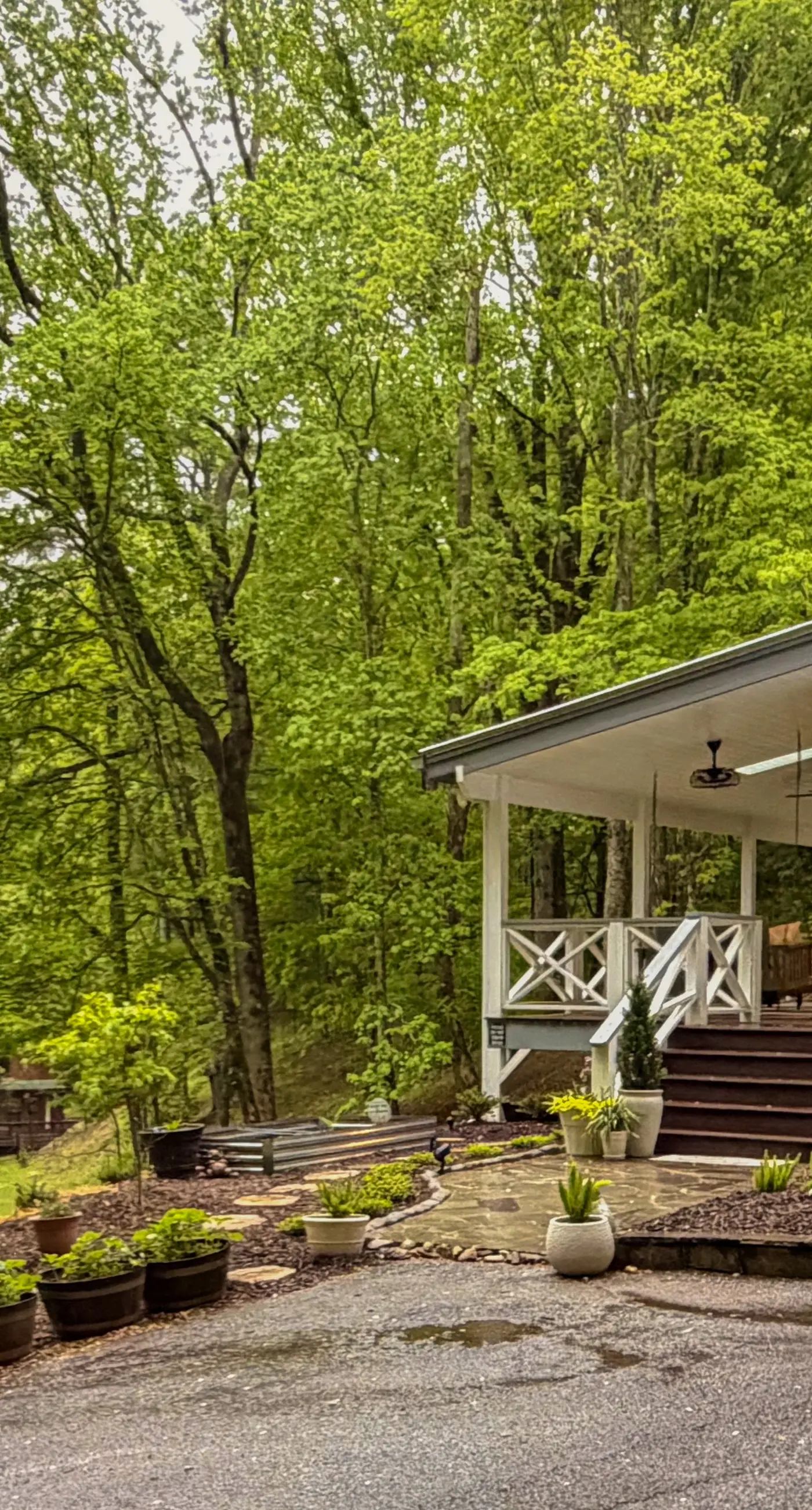 Dragonfly Cabin