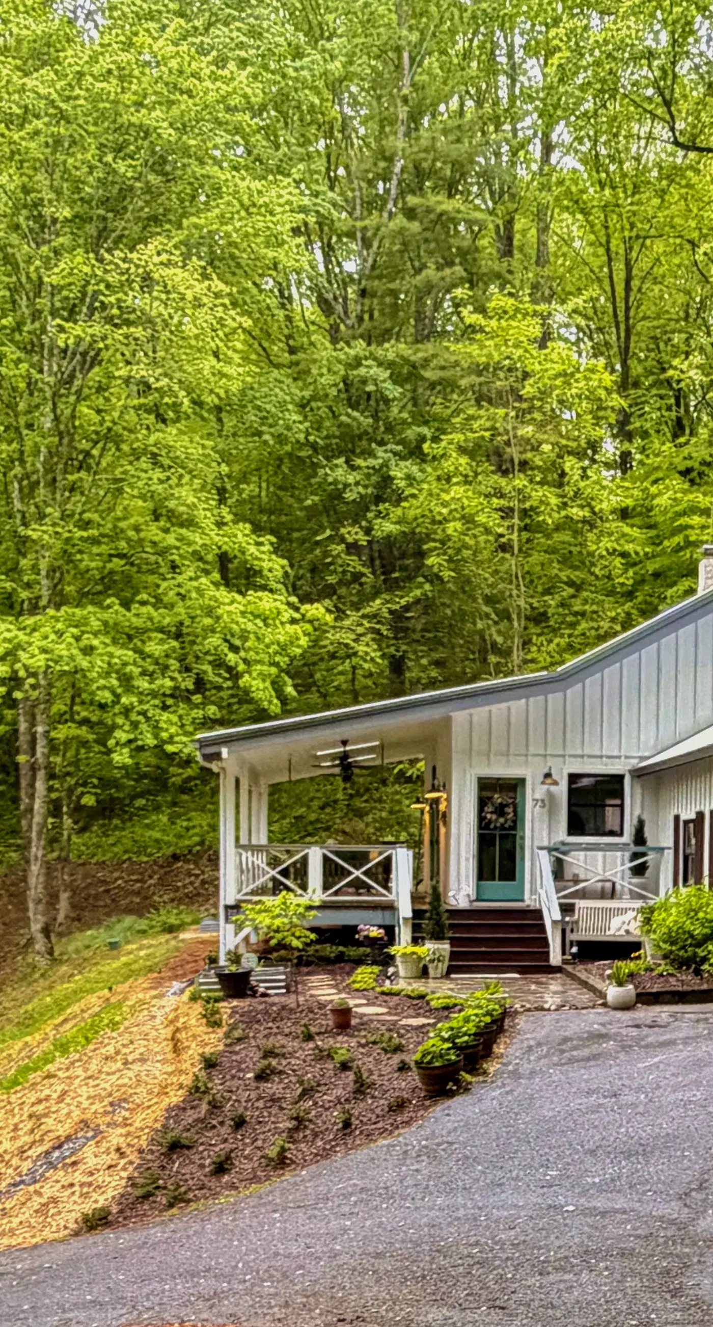 Dragonfly Cabin