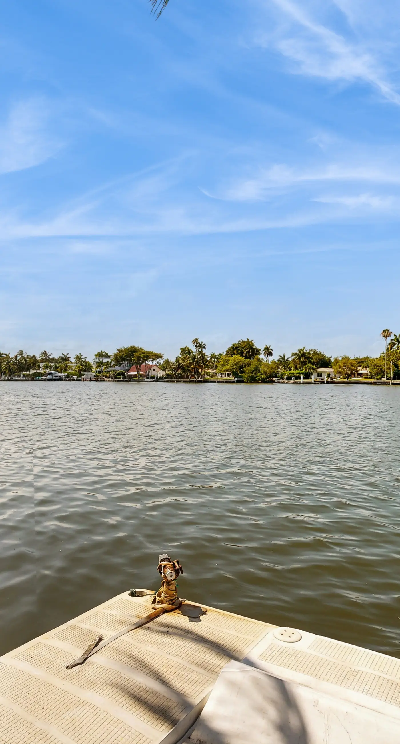 Sunny Oasis