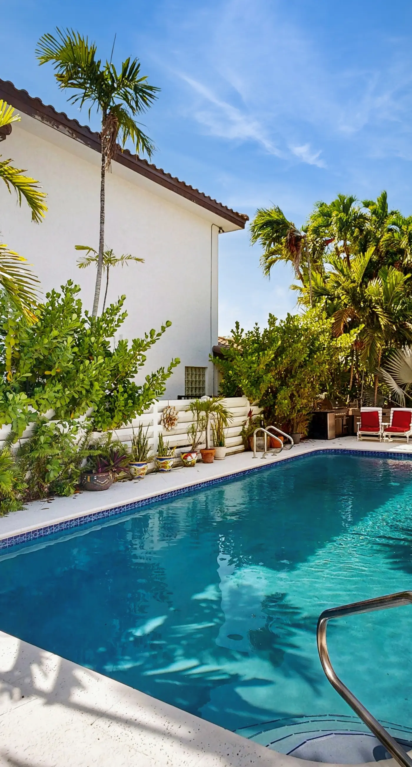 Sunny Oasis