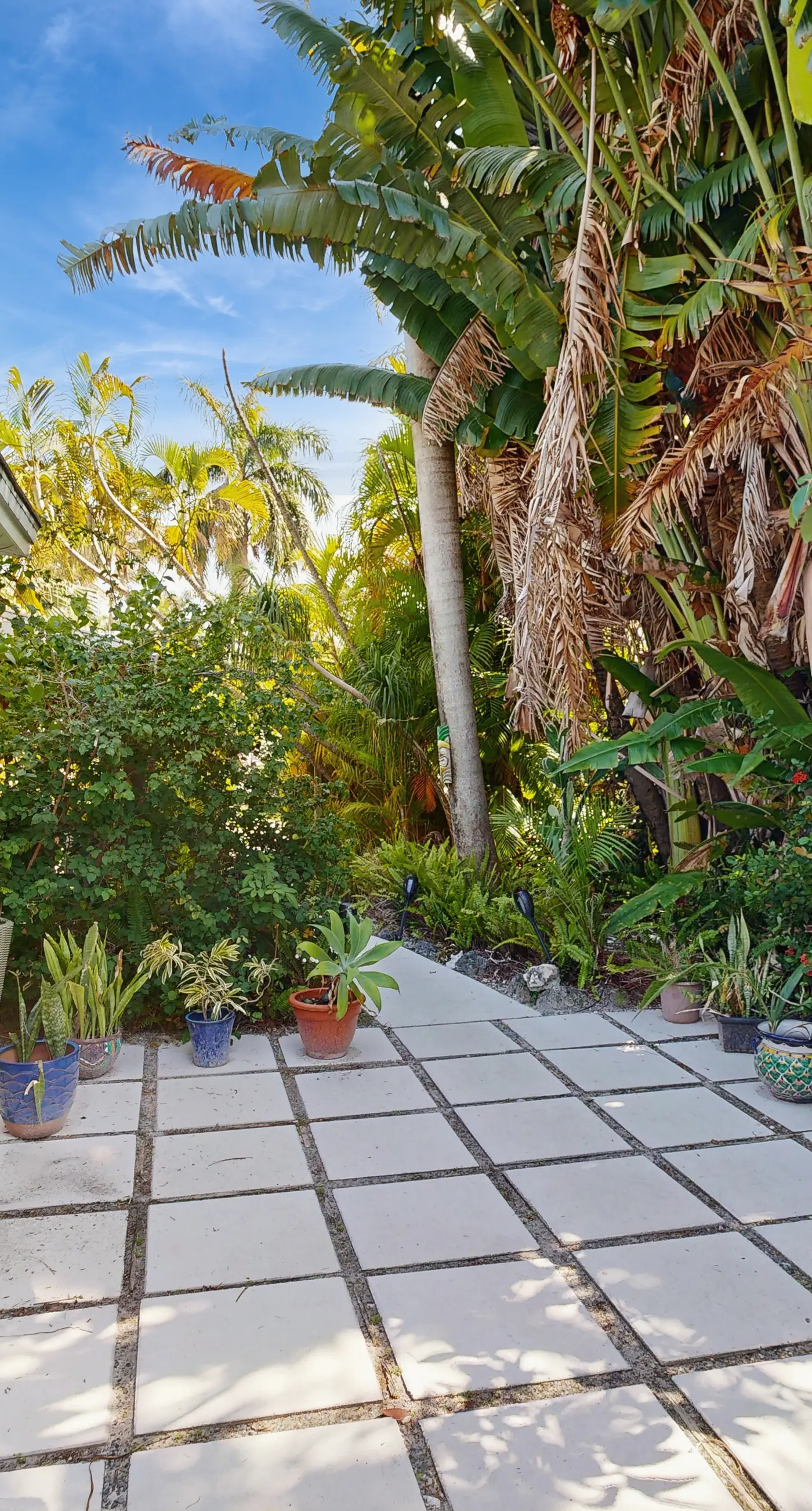 Sunny Oasis