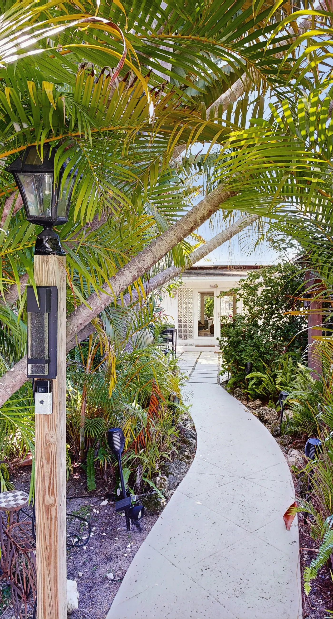 Sunny Oasis