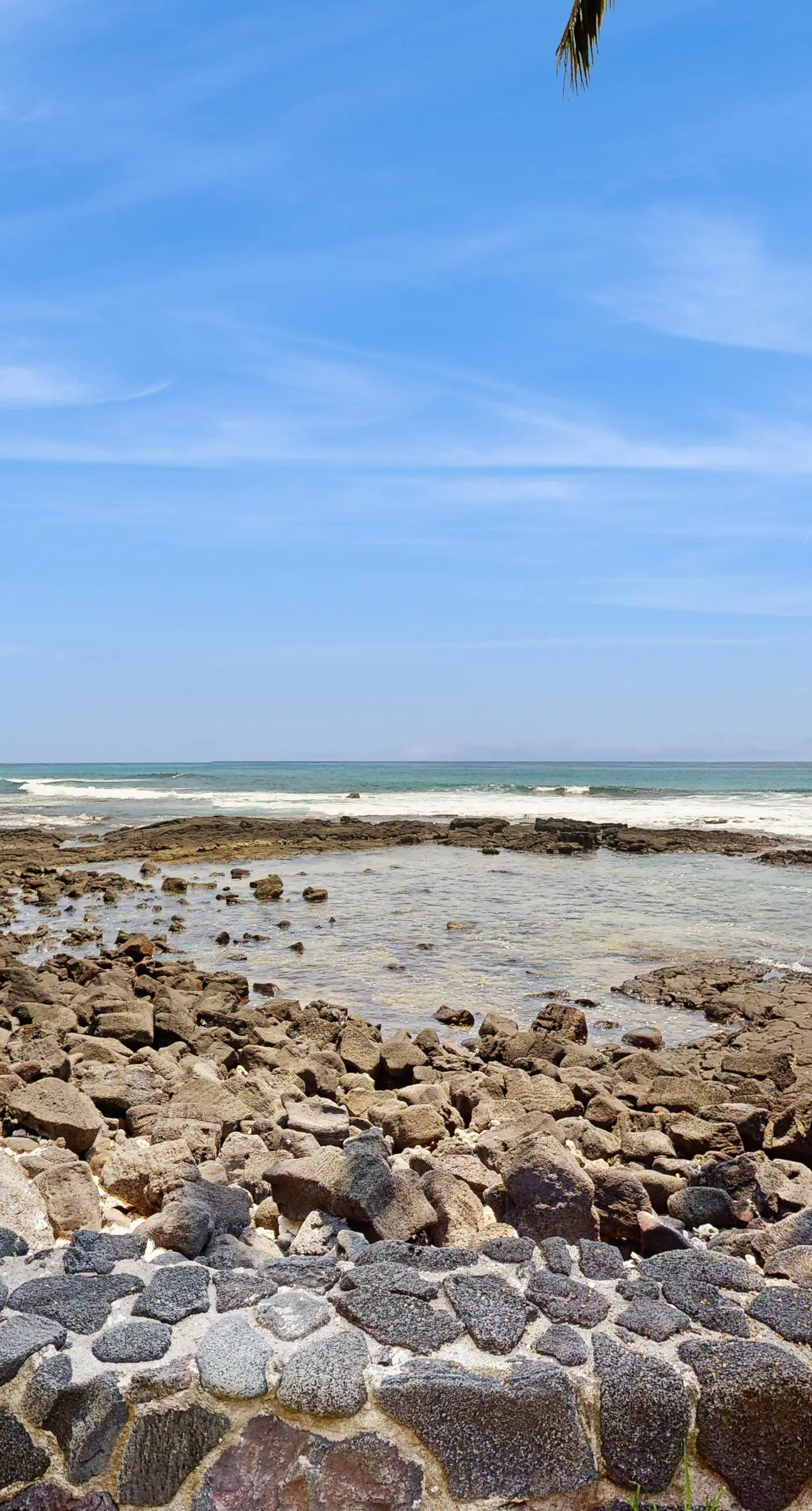 Kona Bali Kai #214