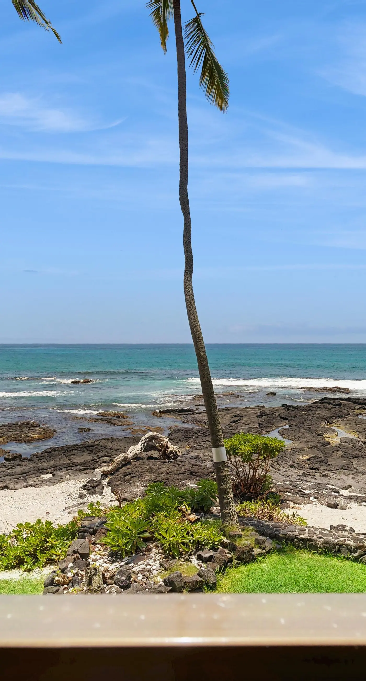 Kona Bali Kai #214
