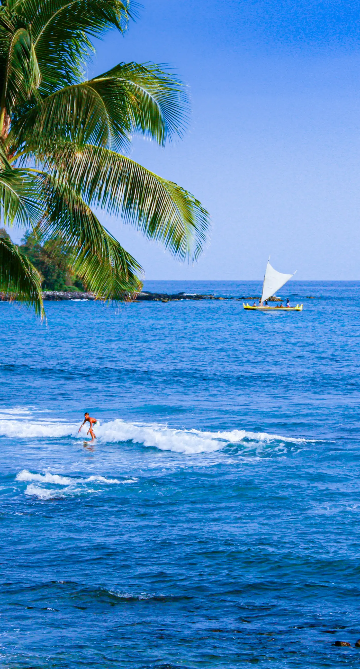 Kona Bali Kai #214