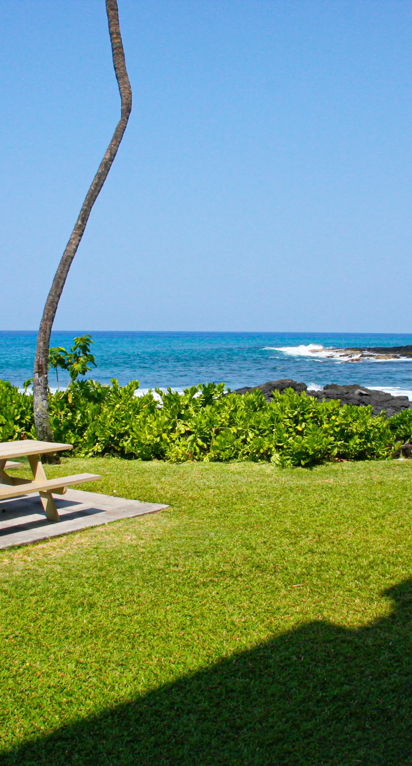 Kona Bali Kai #214