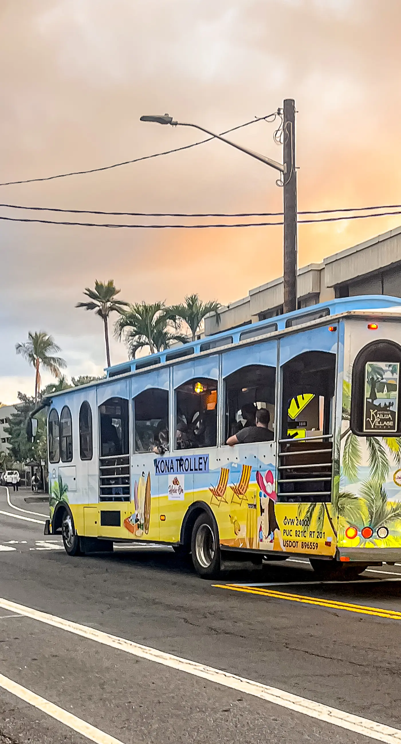 Kona Bali Kai #214