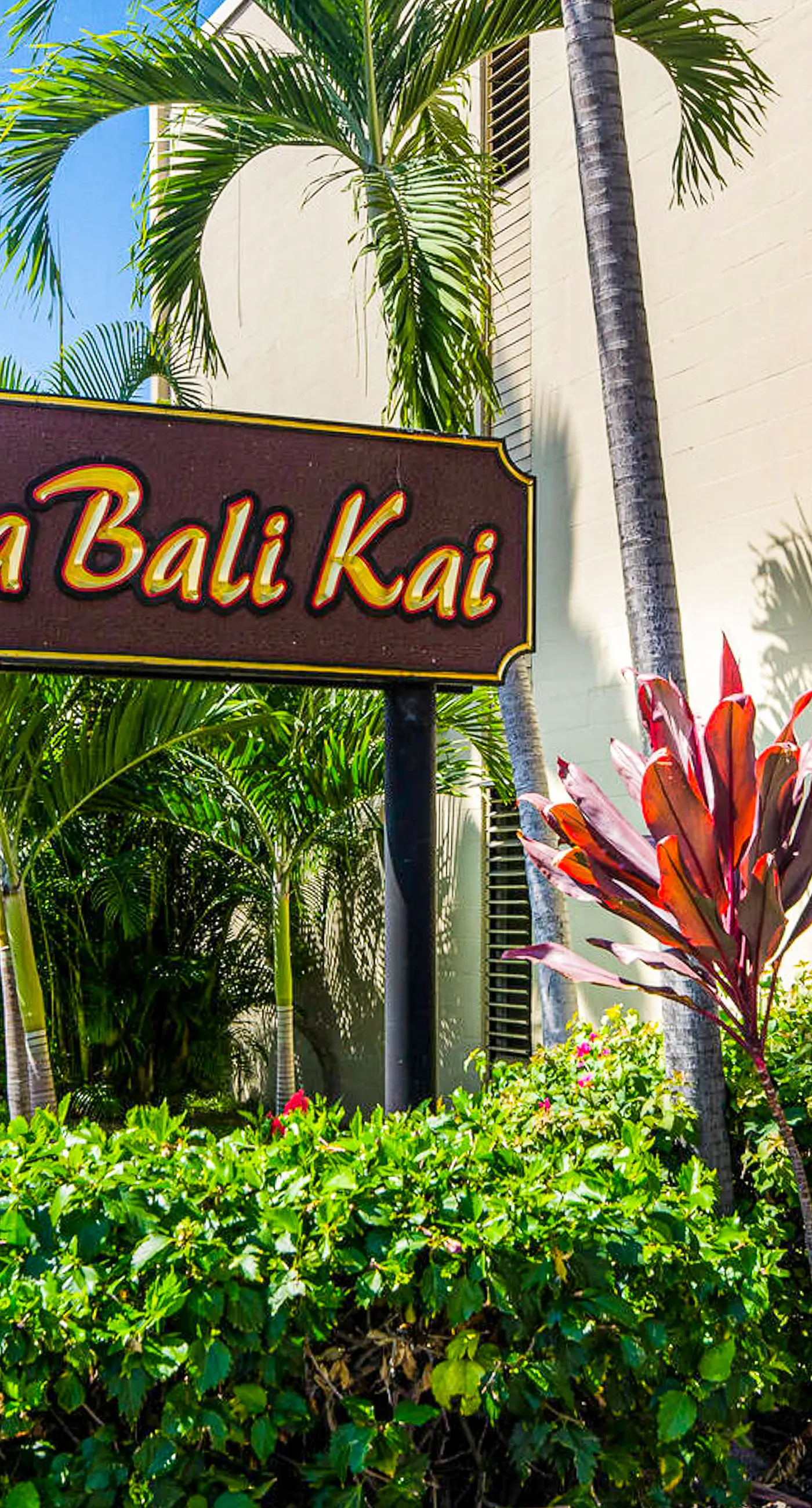 Kona Bali Kai #214