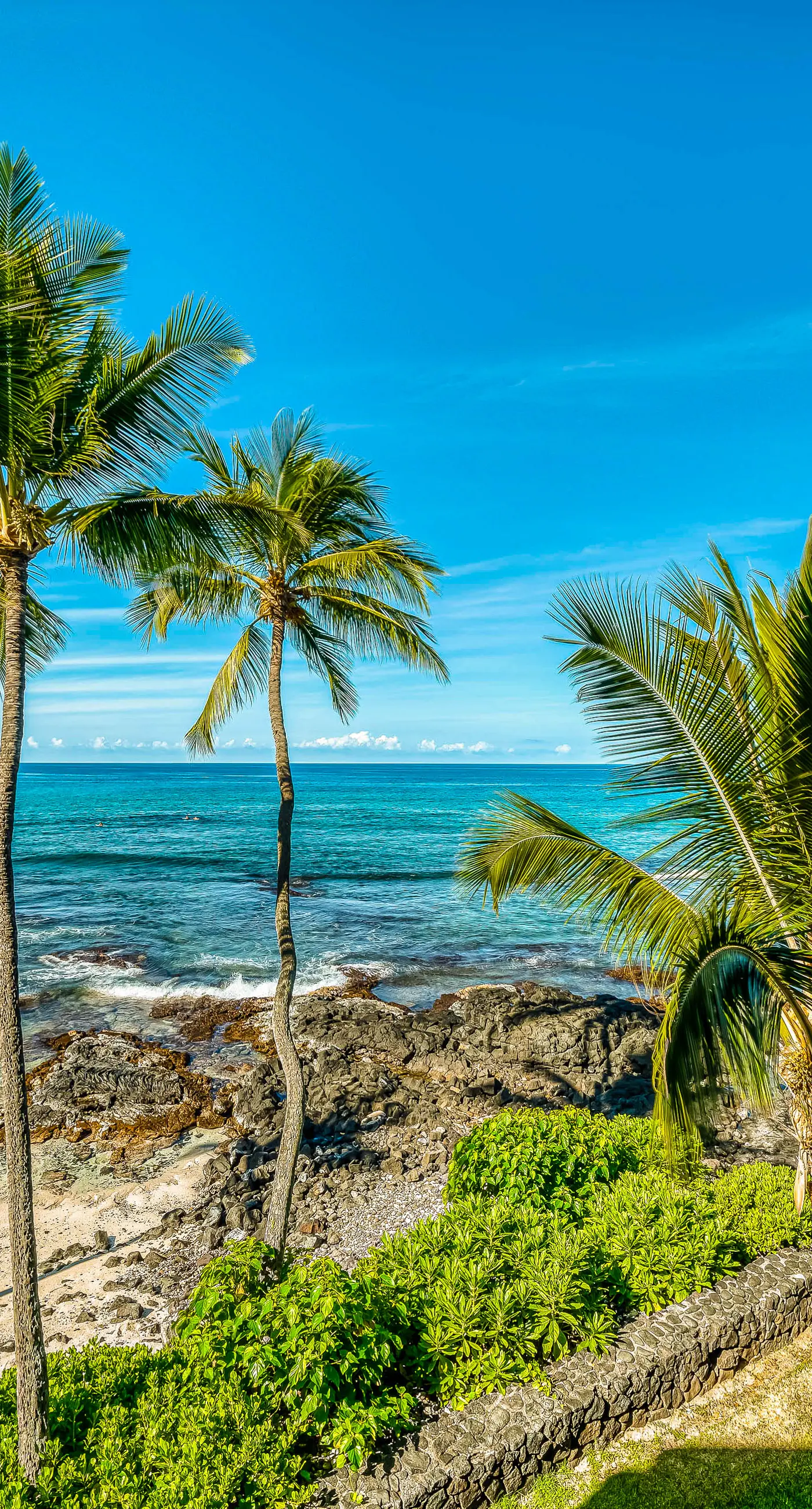 Kona Bali Kai #214