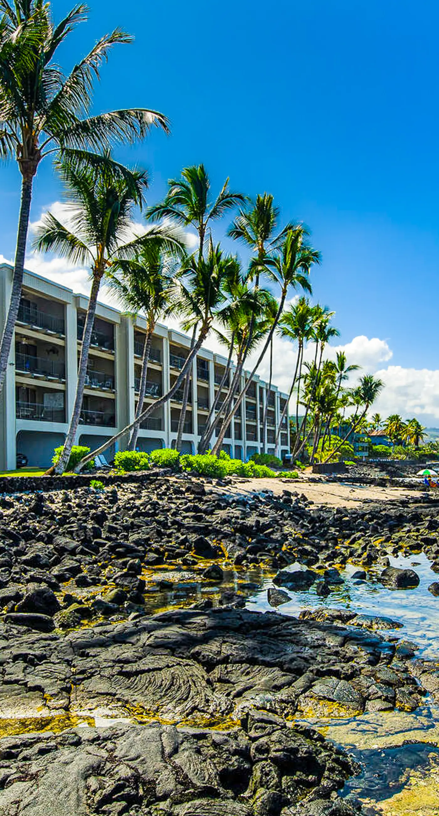 Kona Bali Kai #214