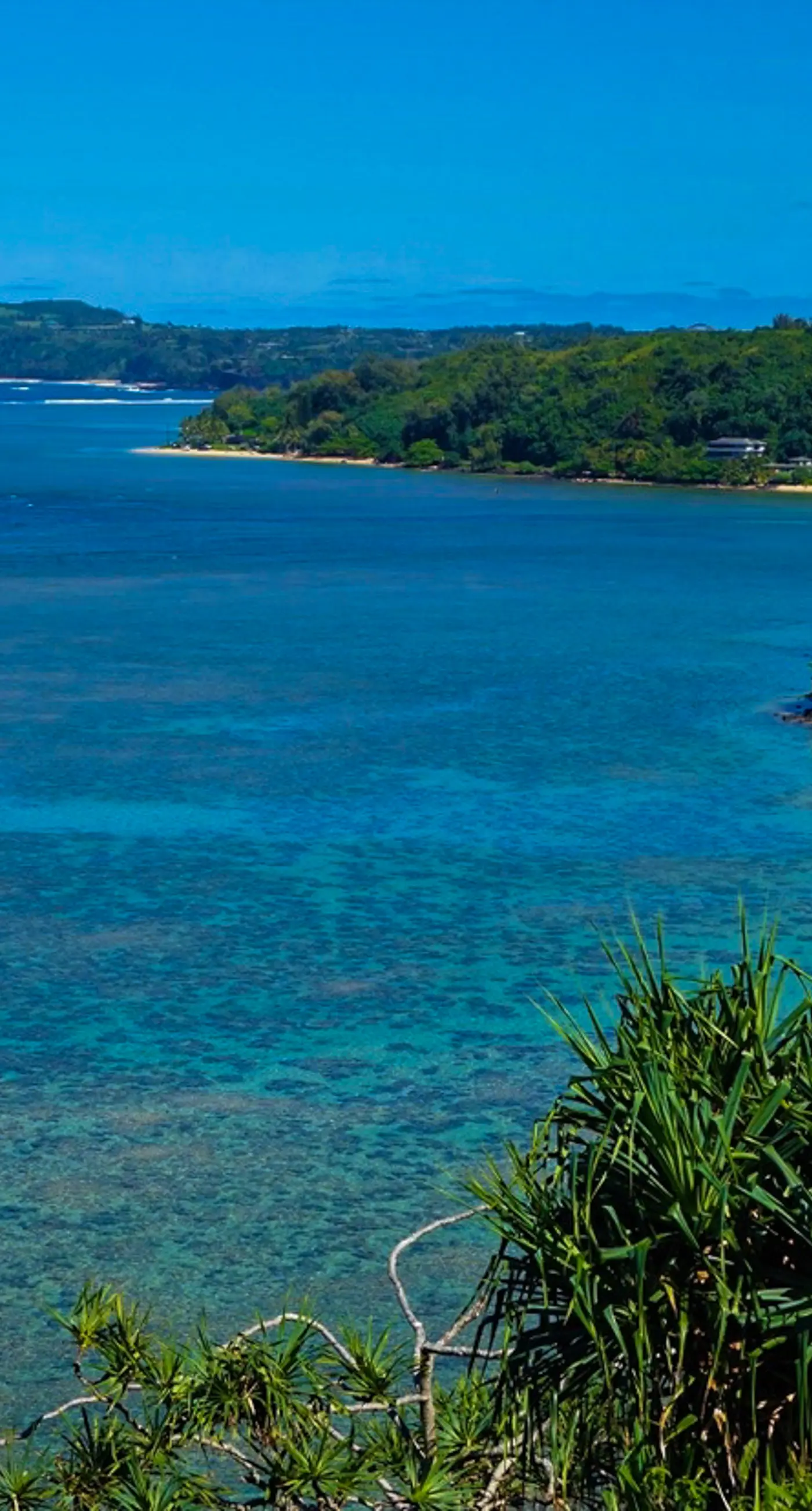 Sealodge F6