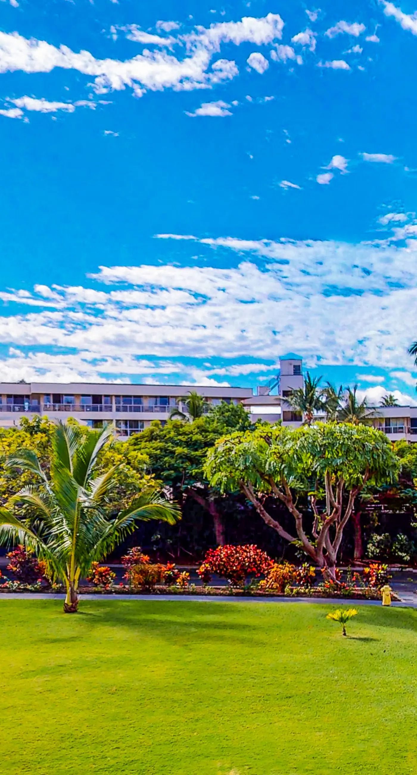 Kihei Akahi C307