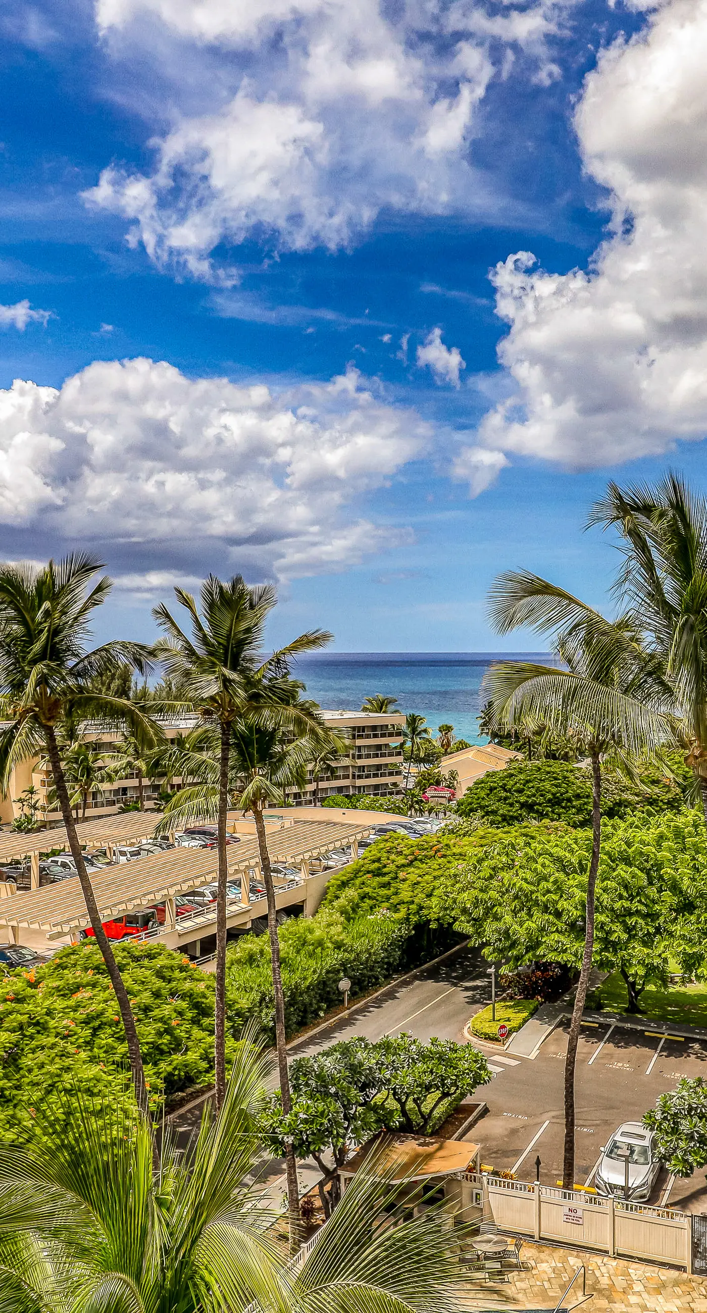 Kihei Akahi C307