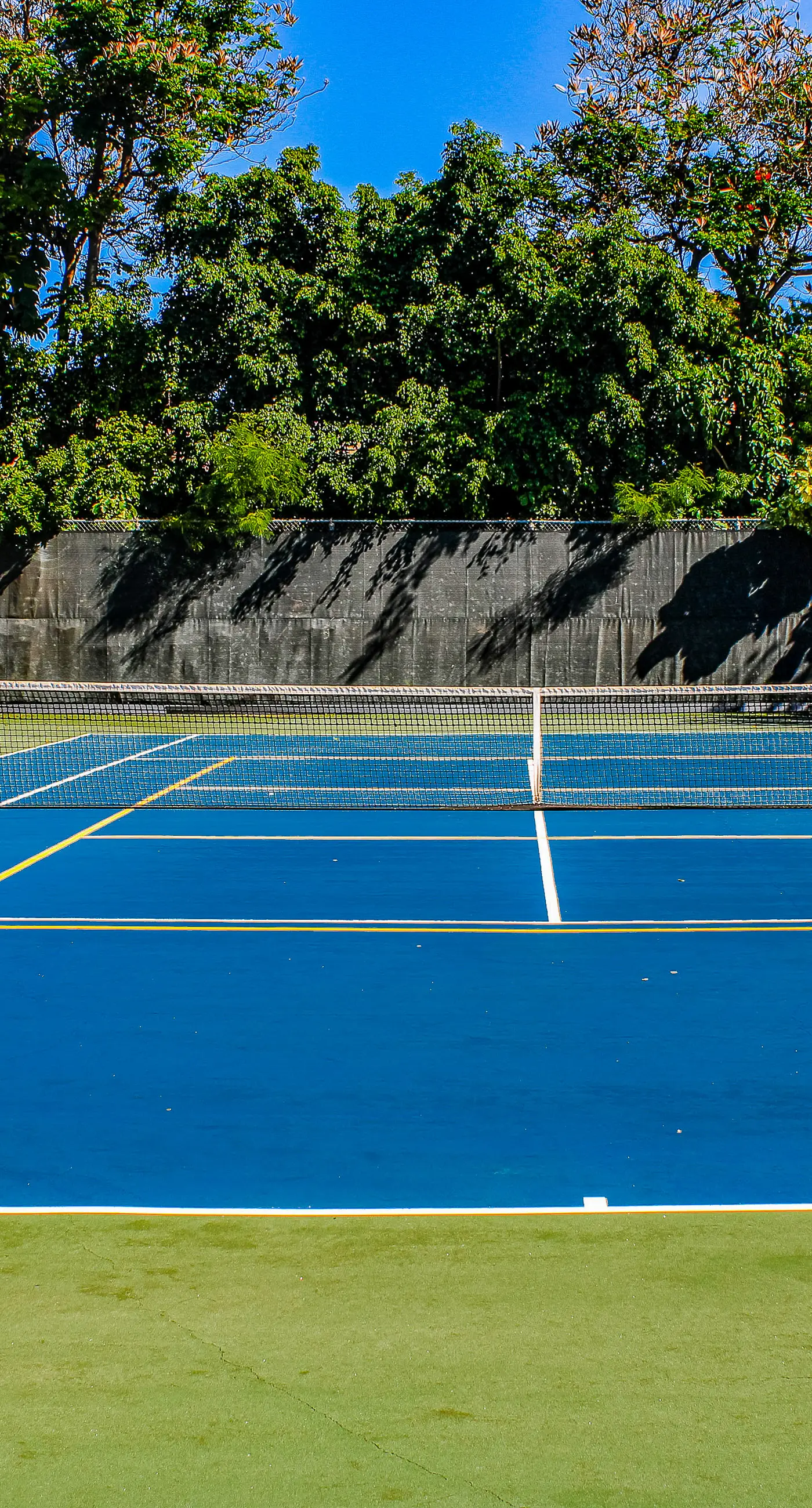 Kihei Akahi C307