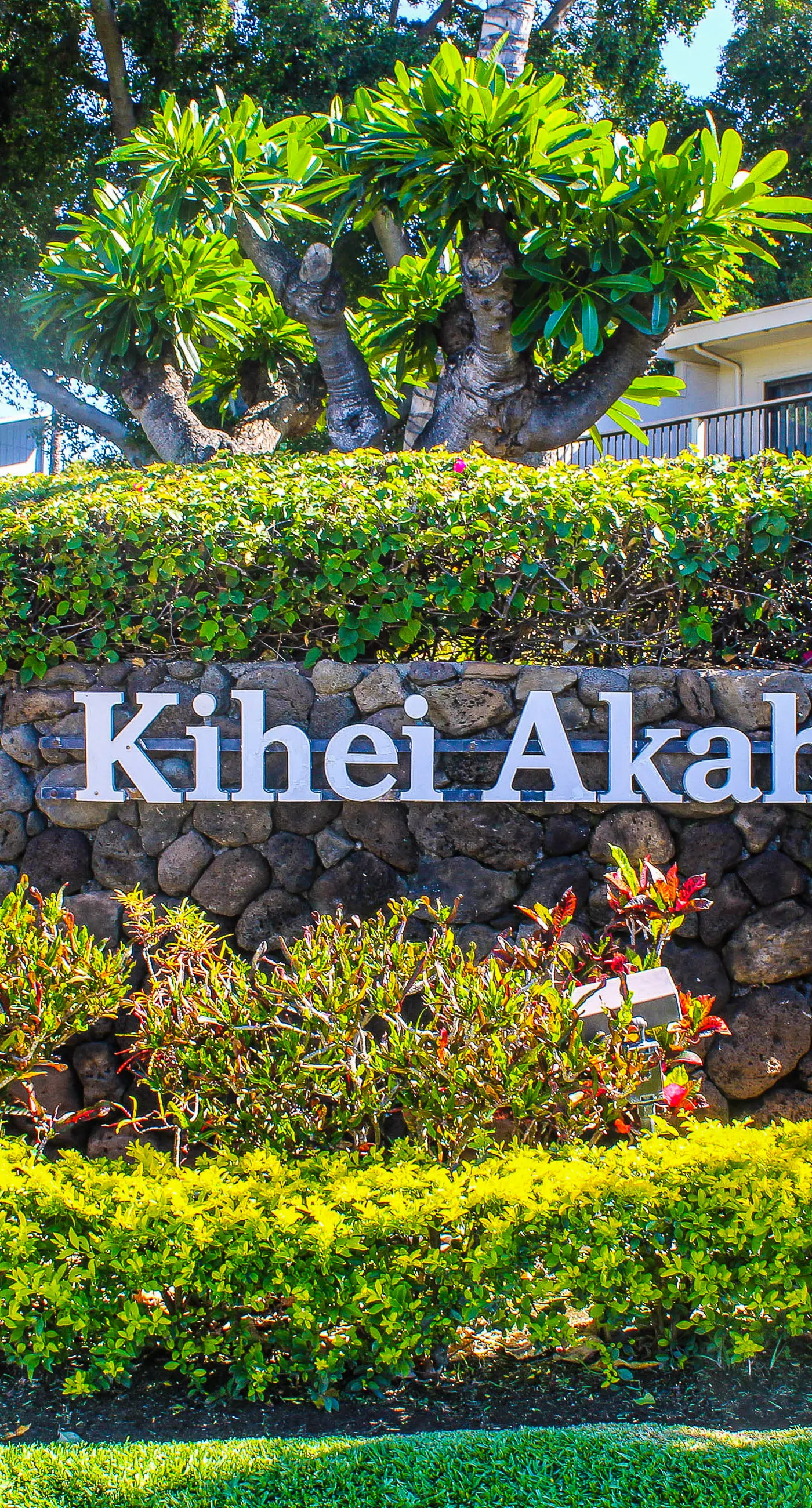 Kihei Akahi C307