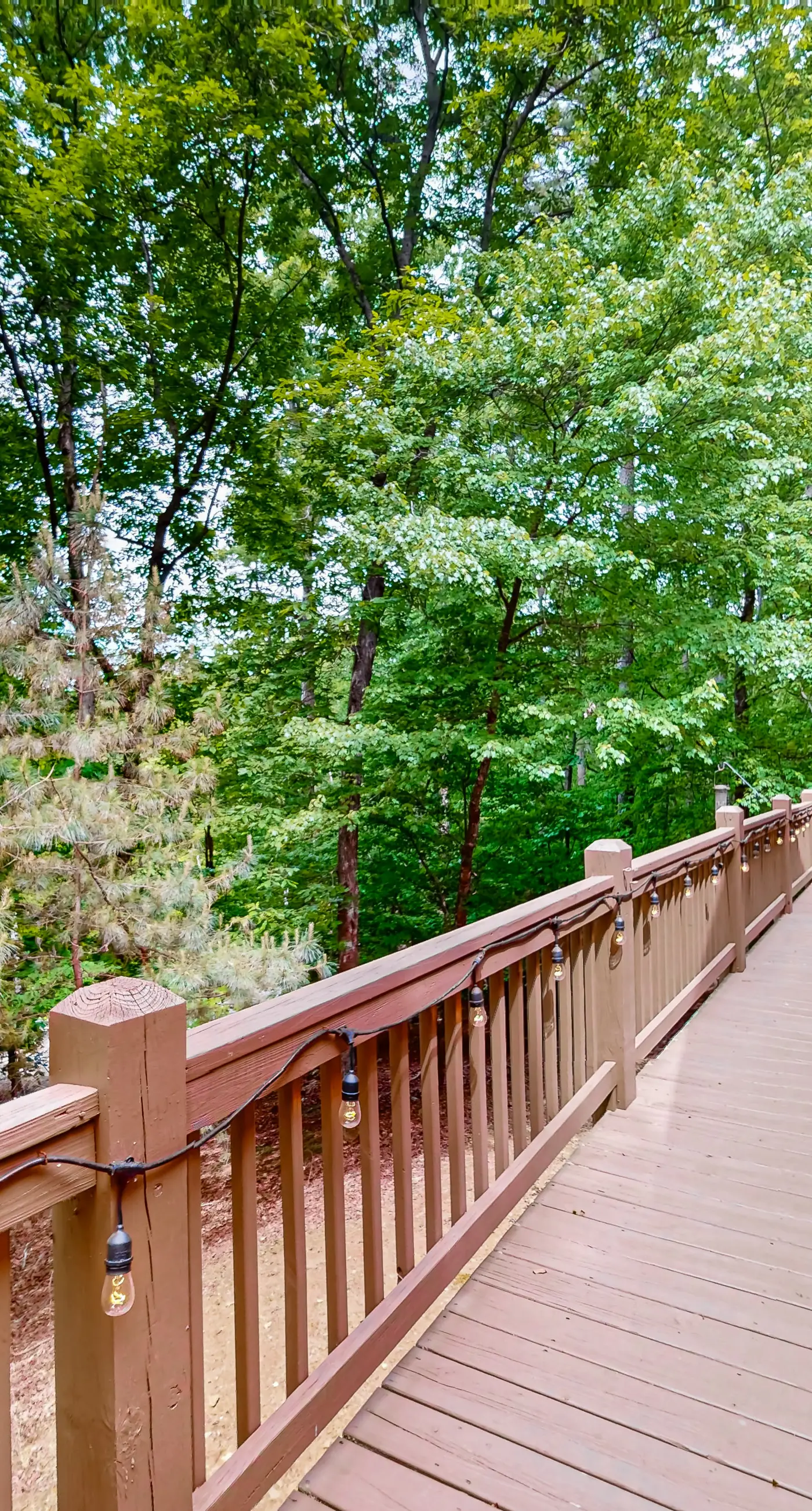 Deer Haven