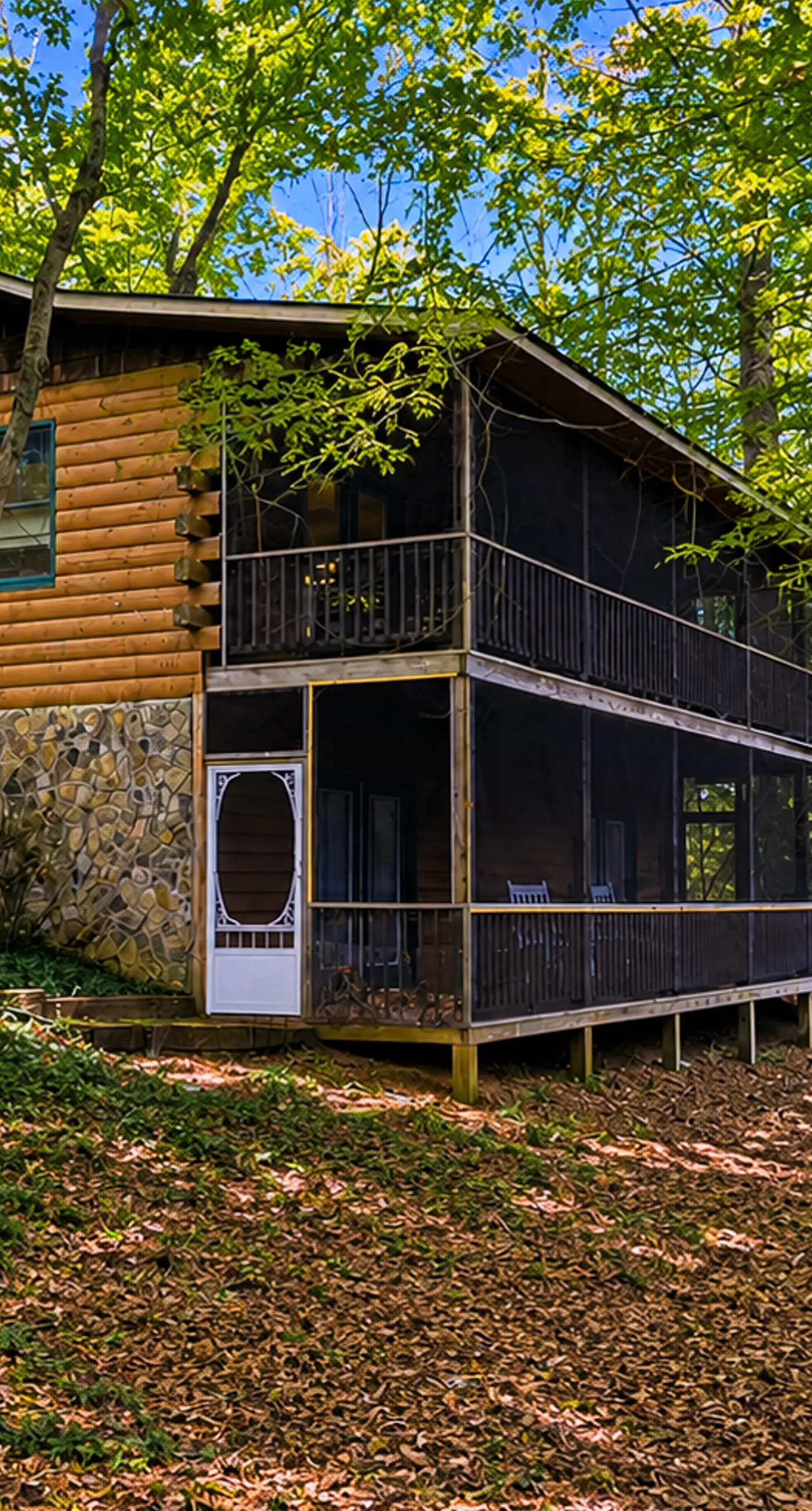 Bear Paw Cabin