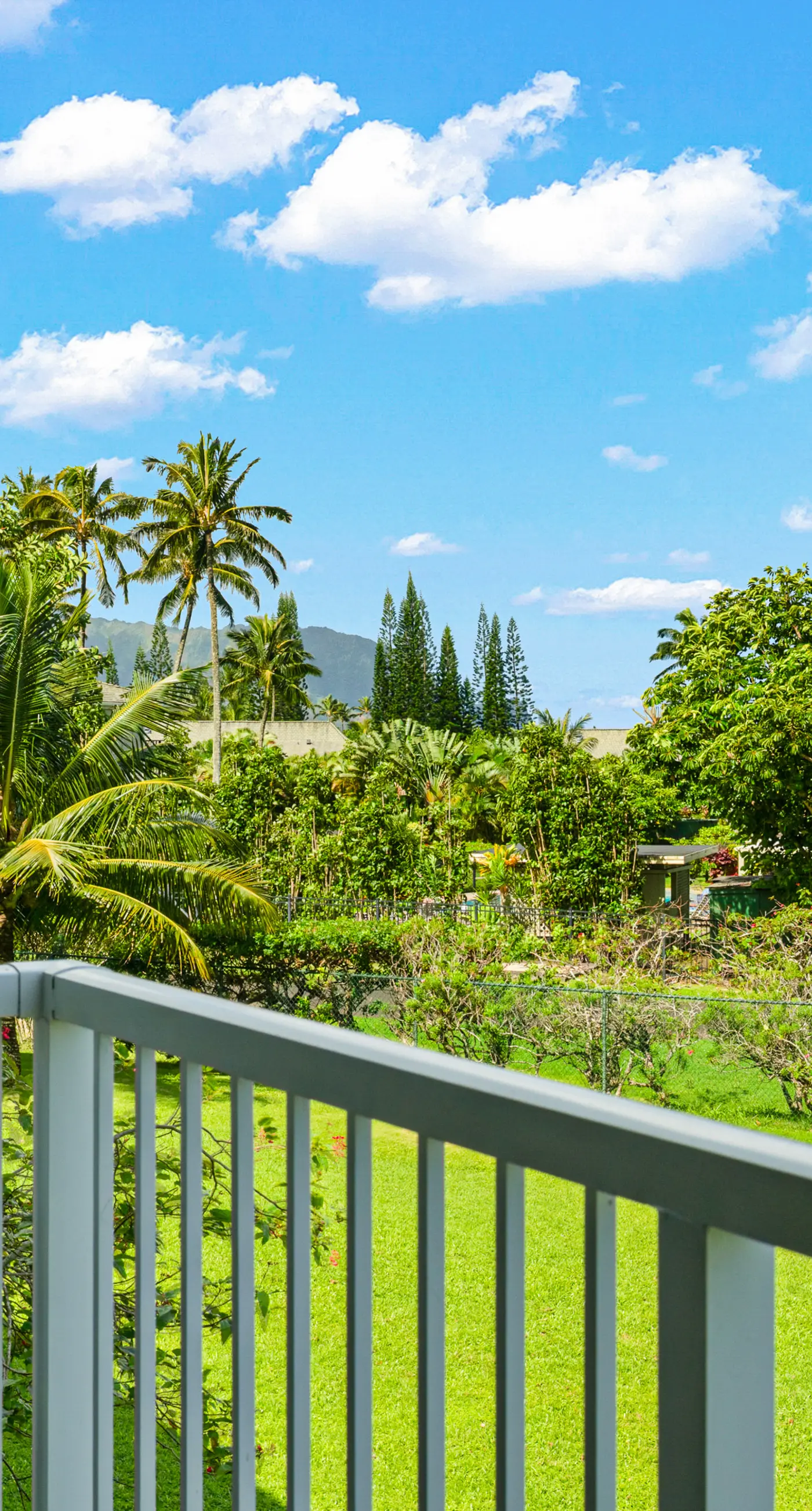 The Cliffs #4204
