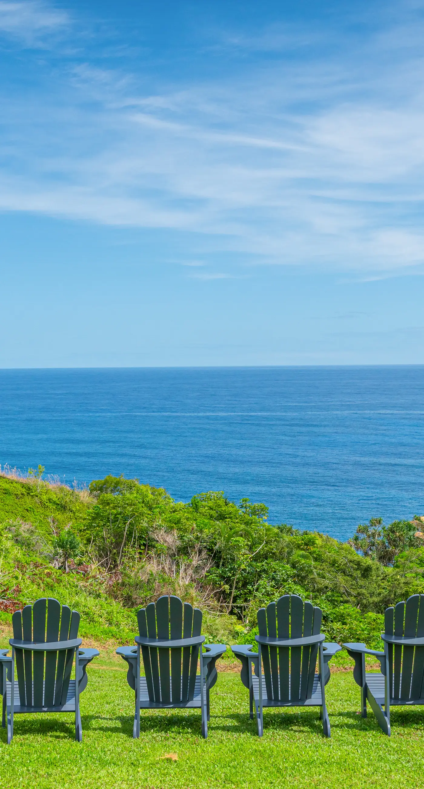 The Cliffs #4204