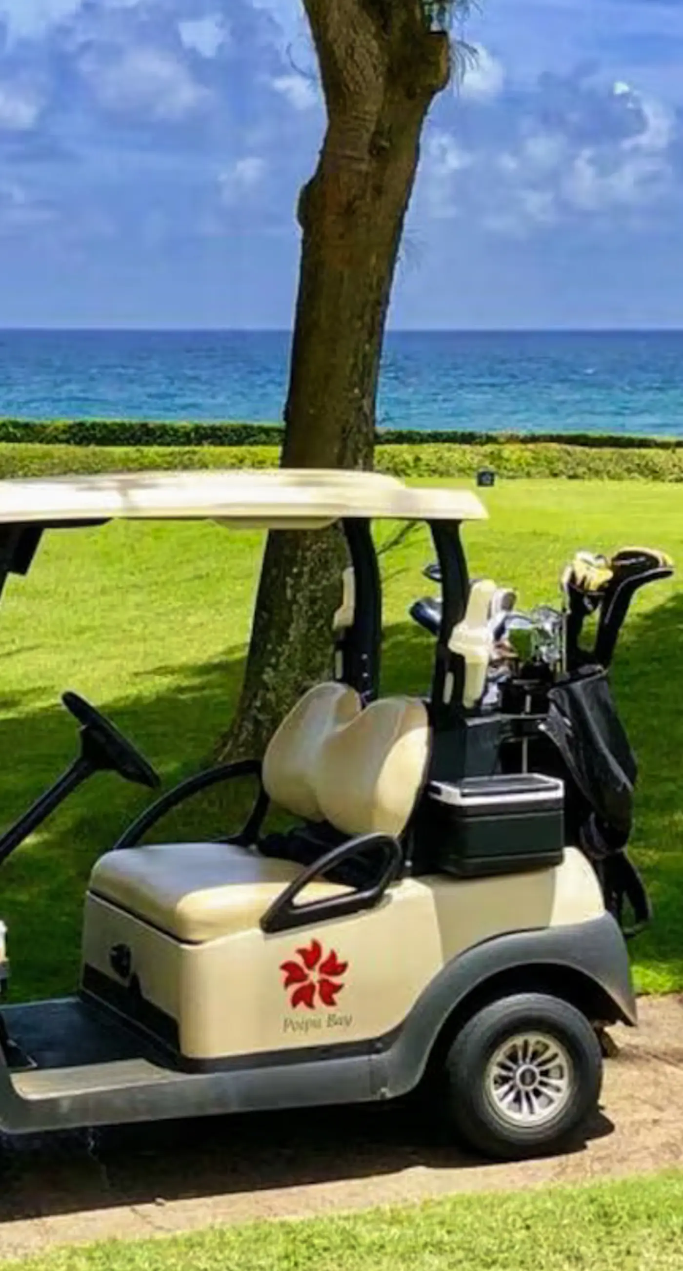 Poipu Sands 112