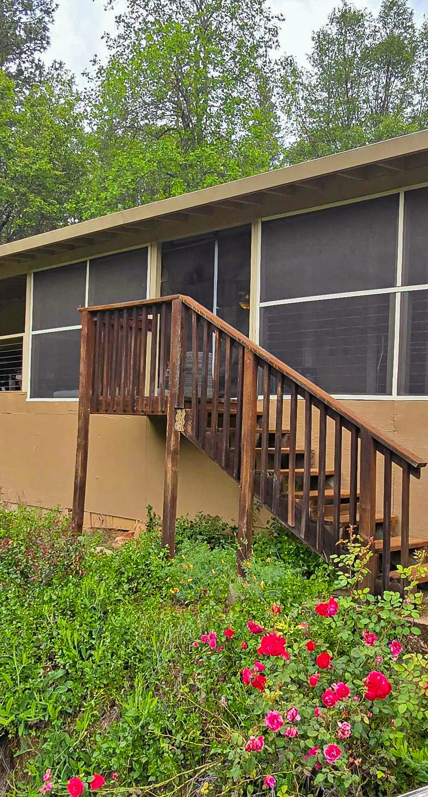 Flume-Side Cottage