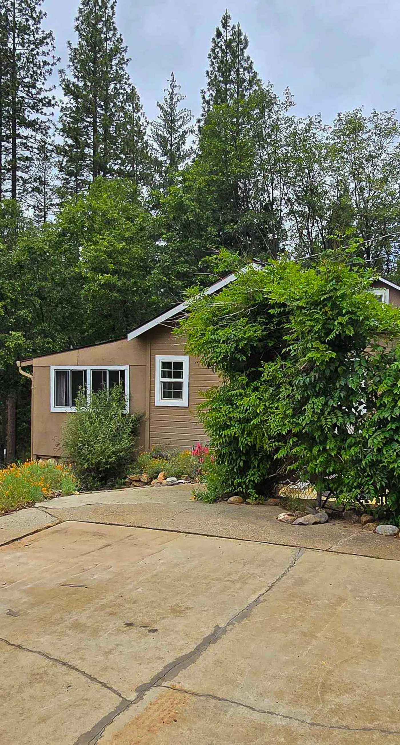 Flume-Side Cottage