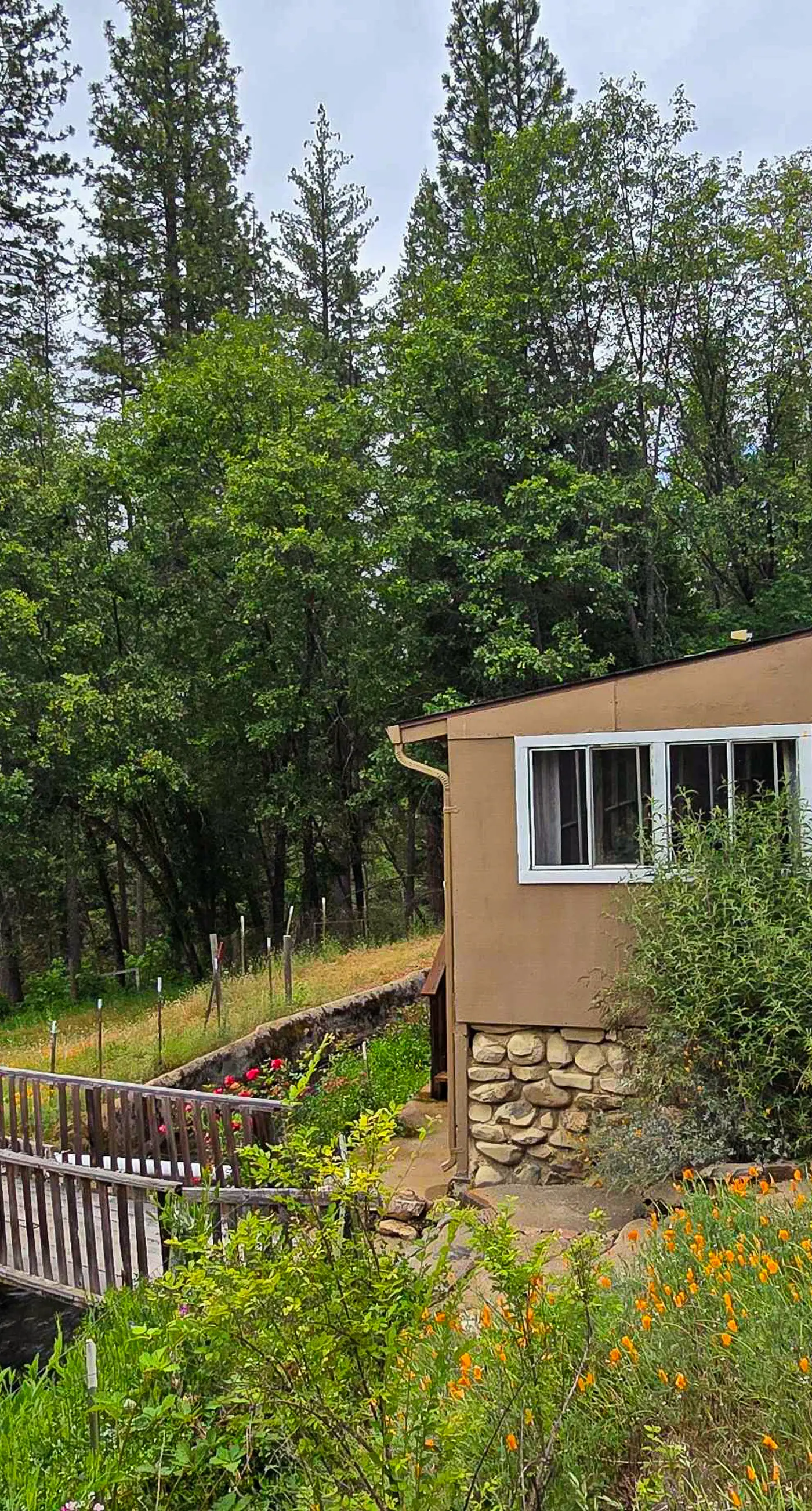 Flume-Side Cottage