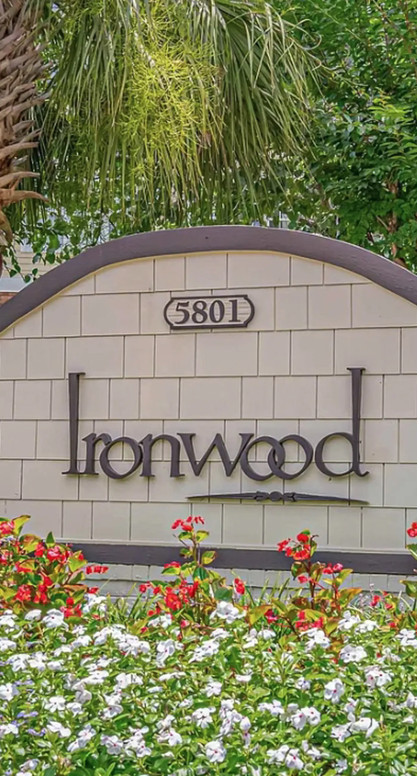 Ironwood - Turtle Beach
