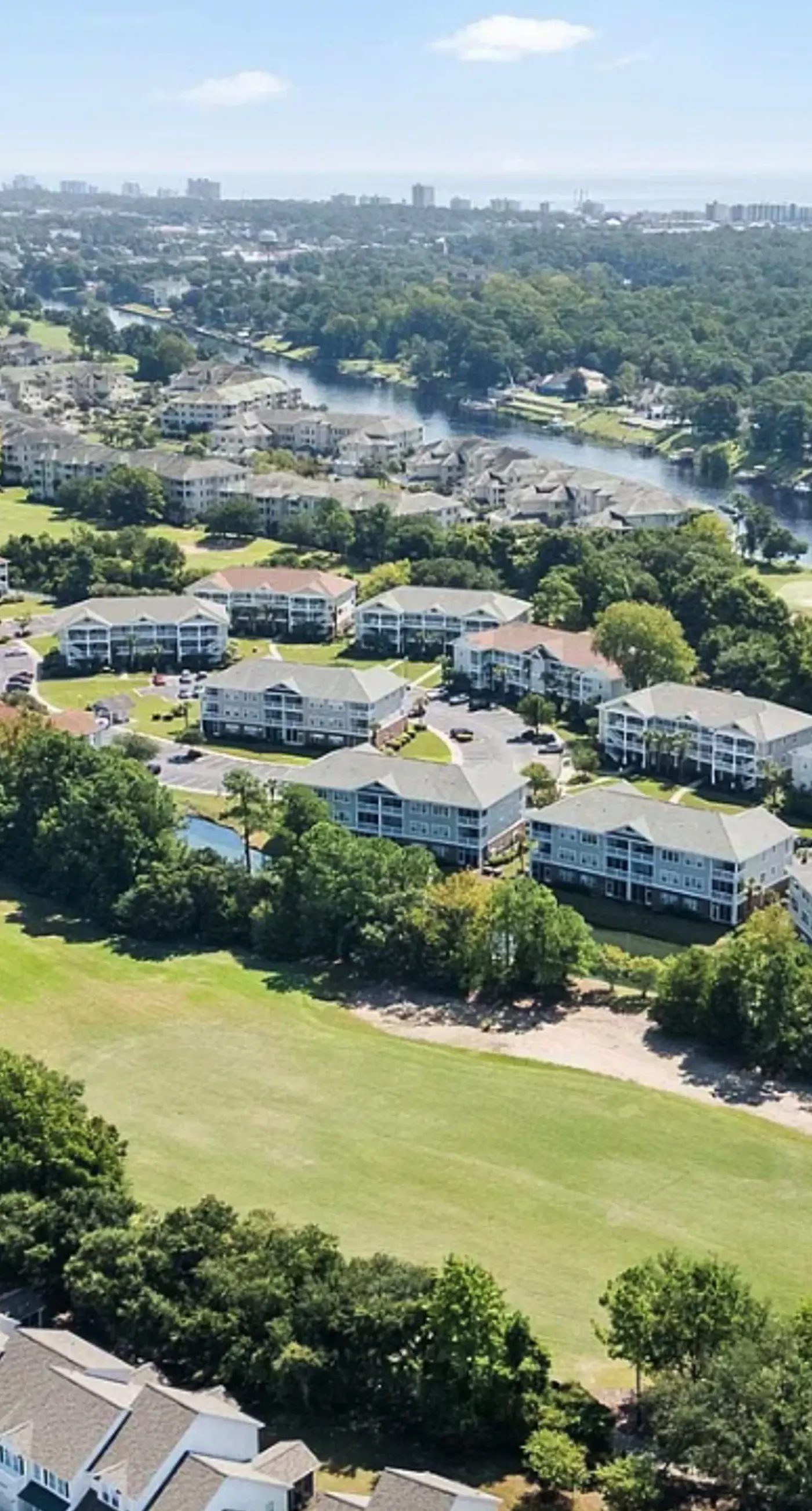 Ironwood - Turtle Beach