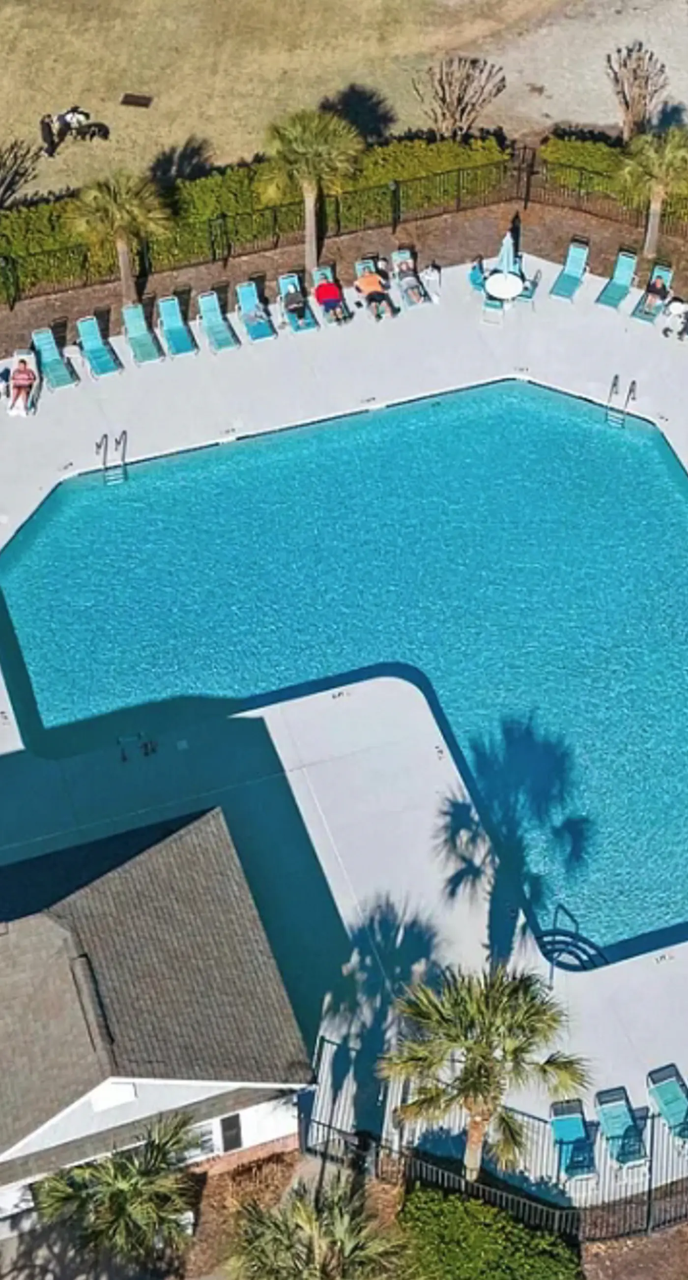 Ironwood - Turtle Beach