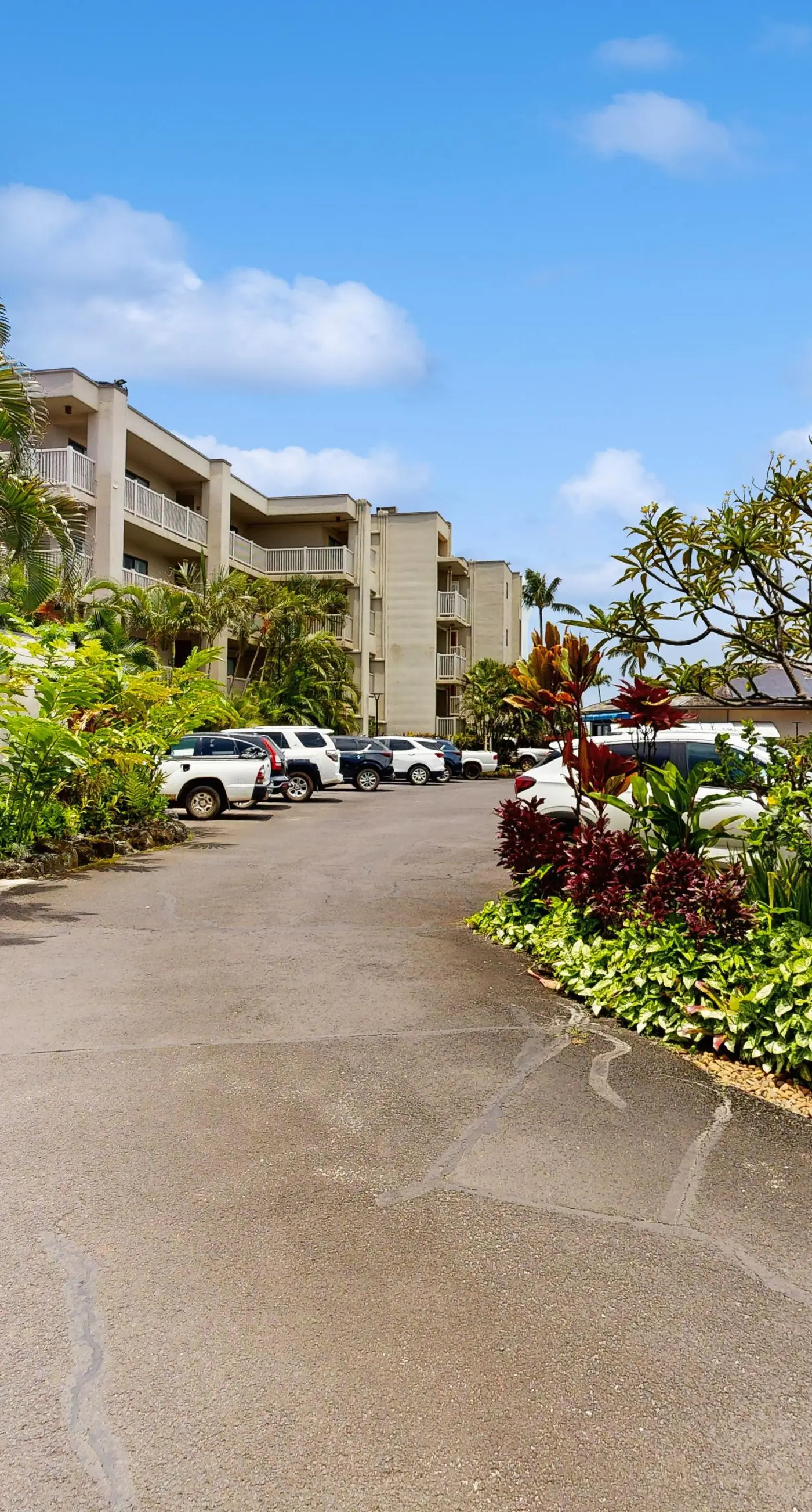Kuhio Shores 410