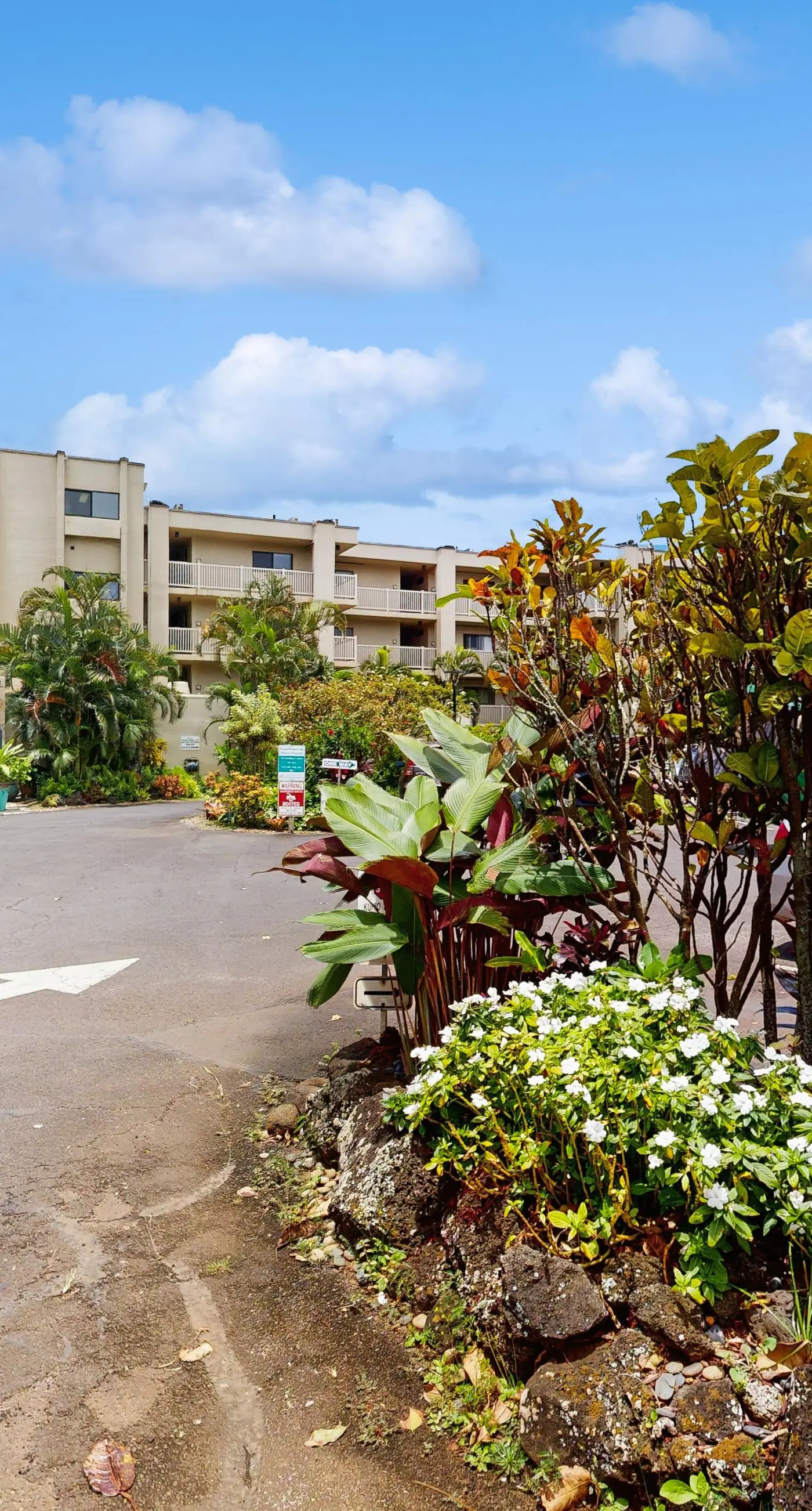 Kuhio Shores 410