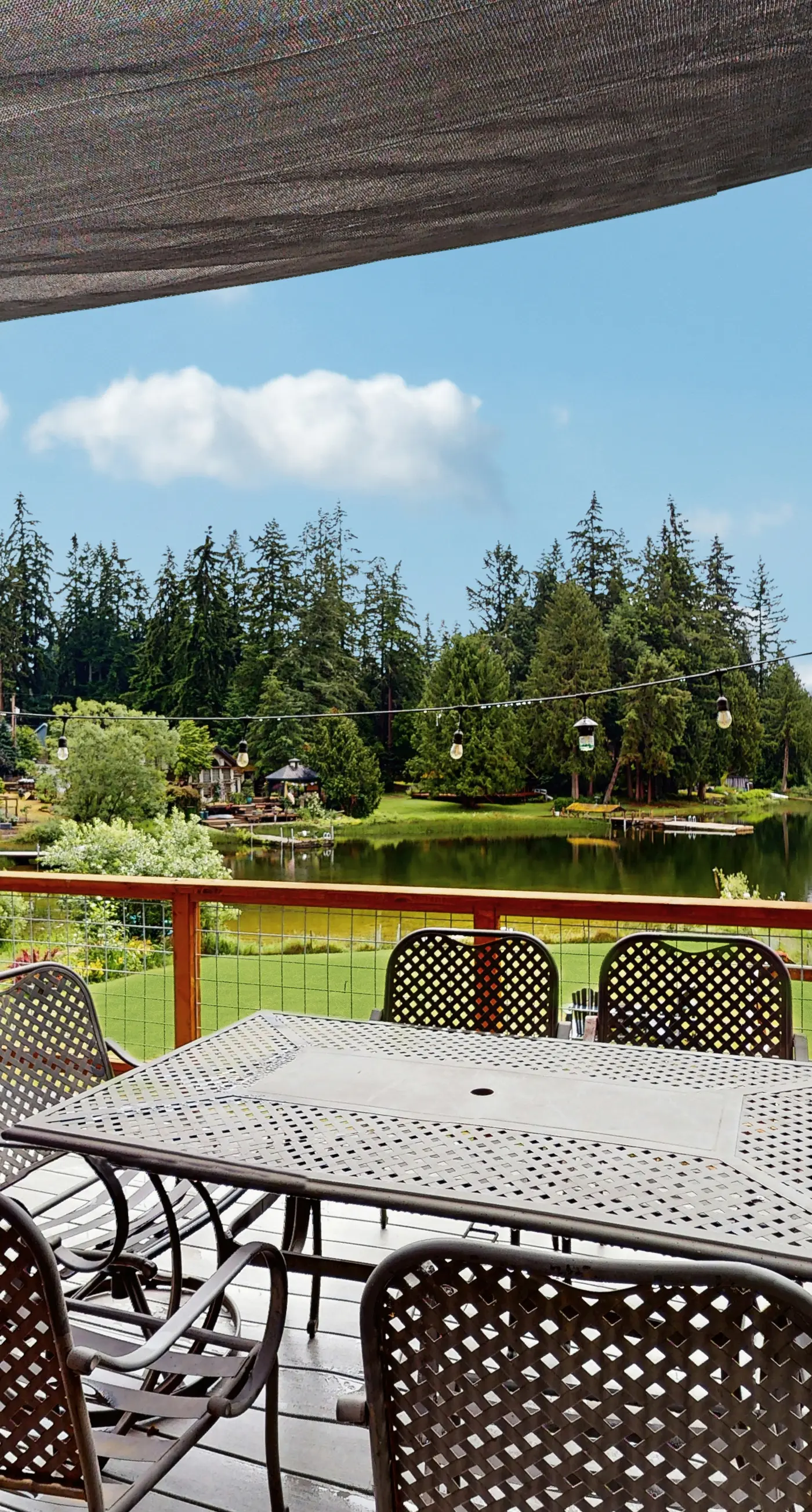 Deer Lake Escape