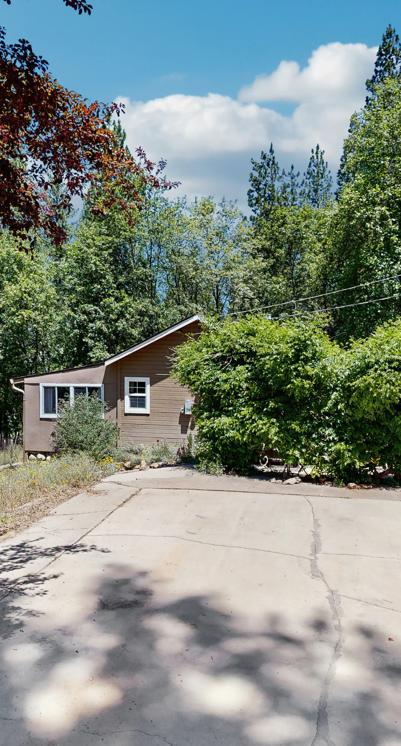 Flume-Side Cabin