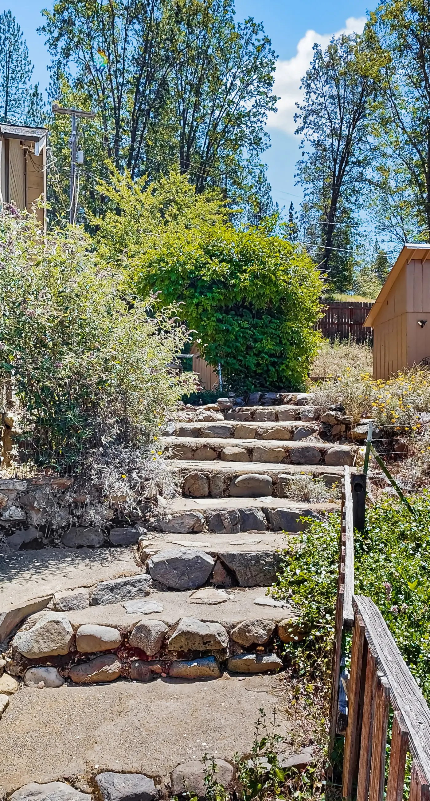 Flume-Side Cabin