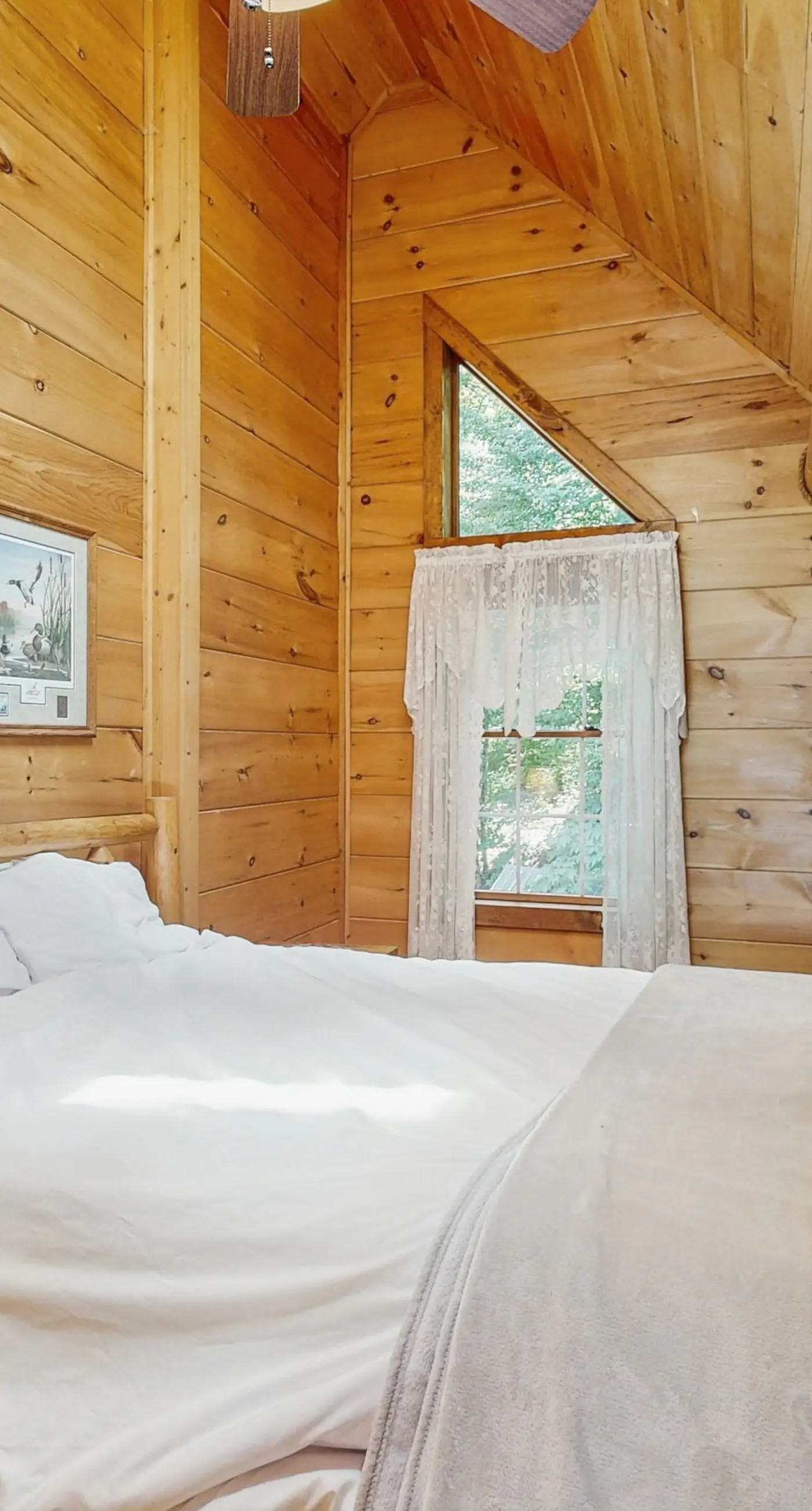 Black Bear Lodge