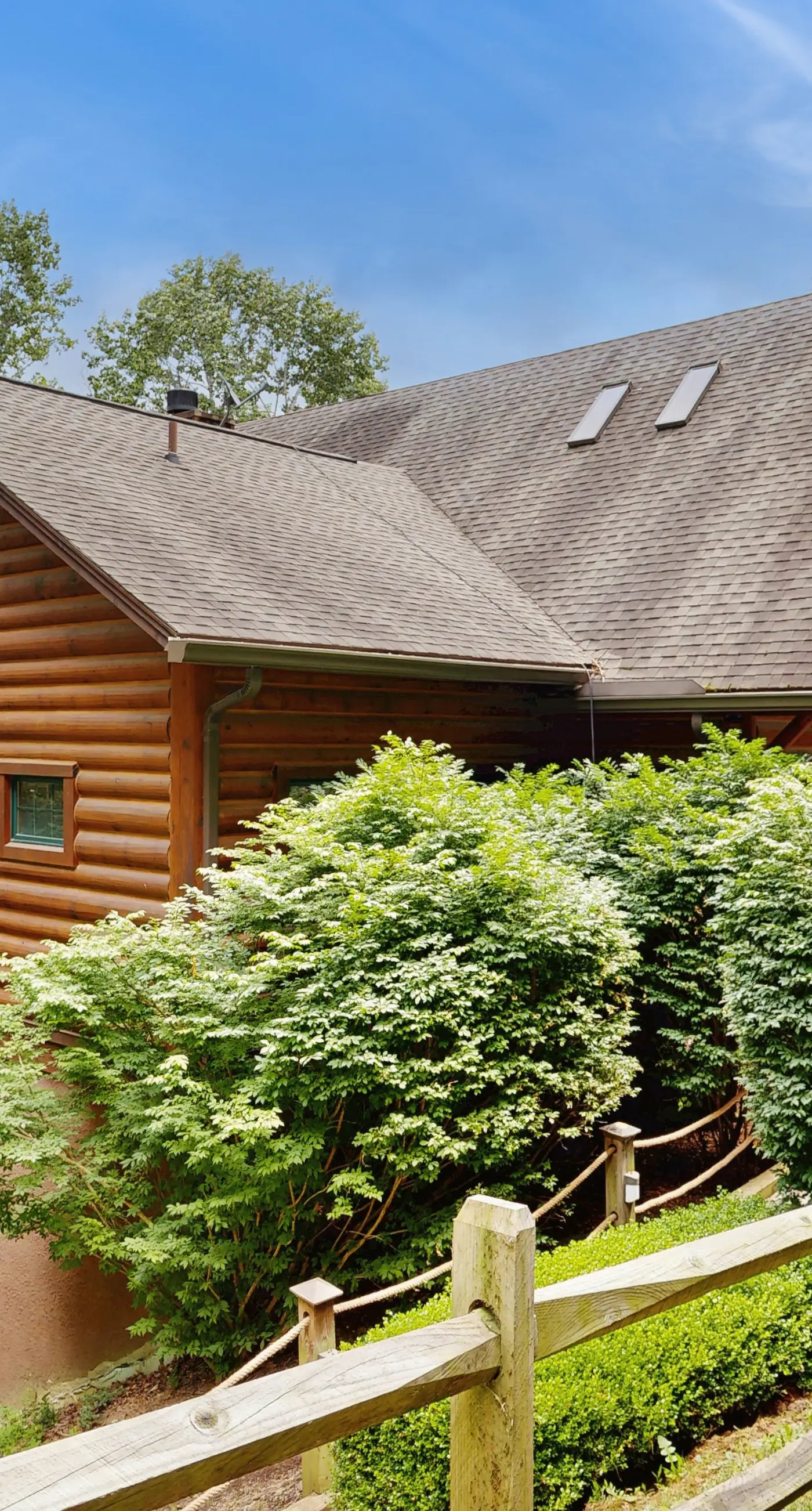 Black Bear Lodge