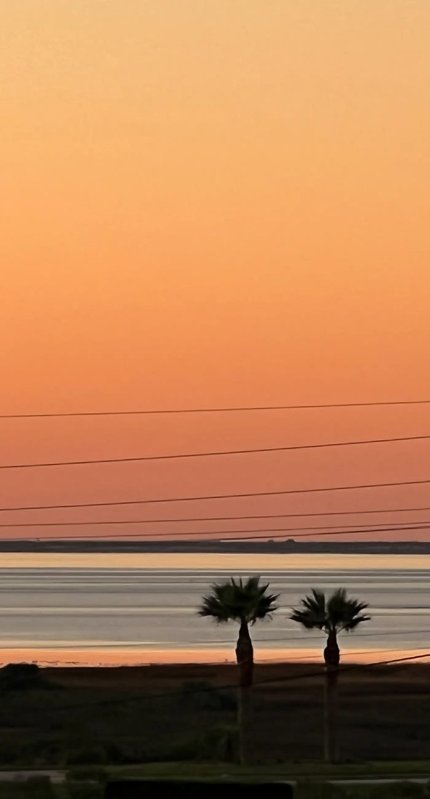 Sunset Estuary