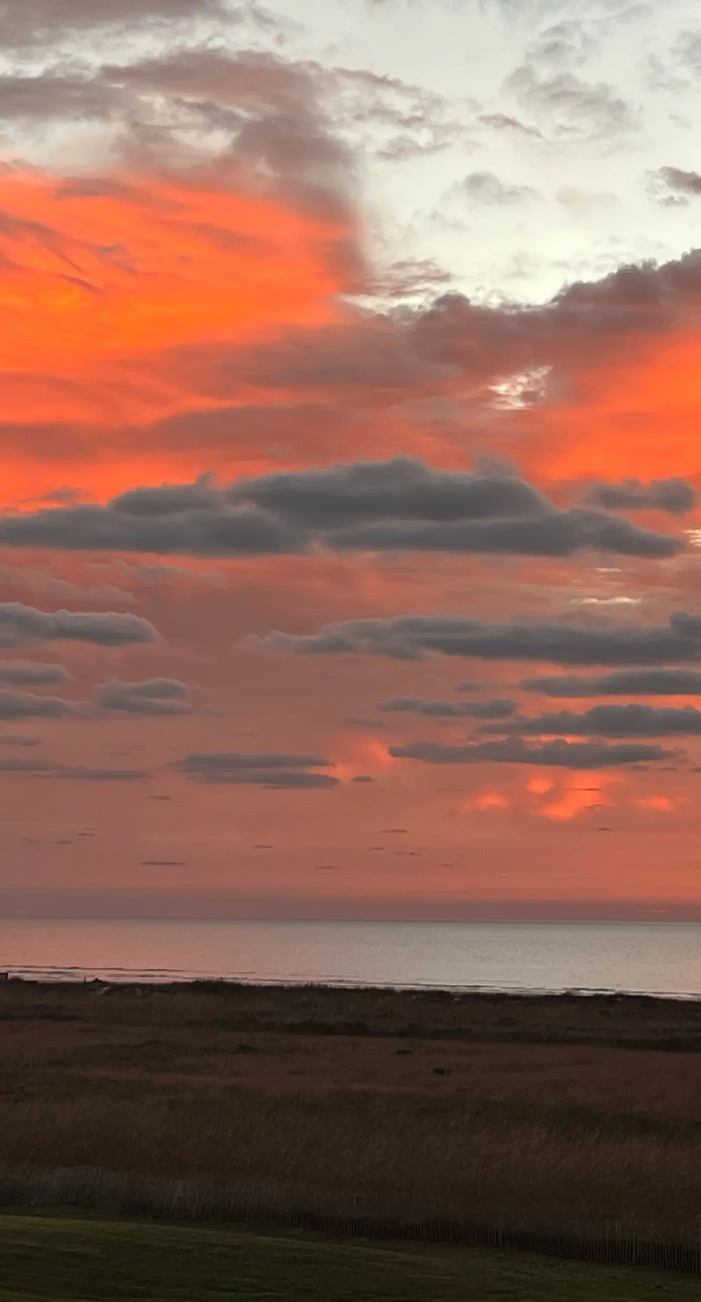 Sunset Estuary