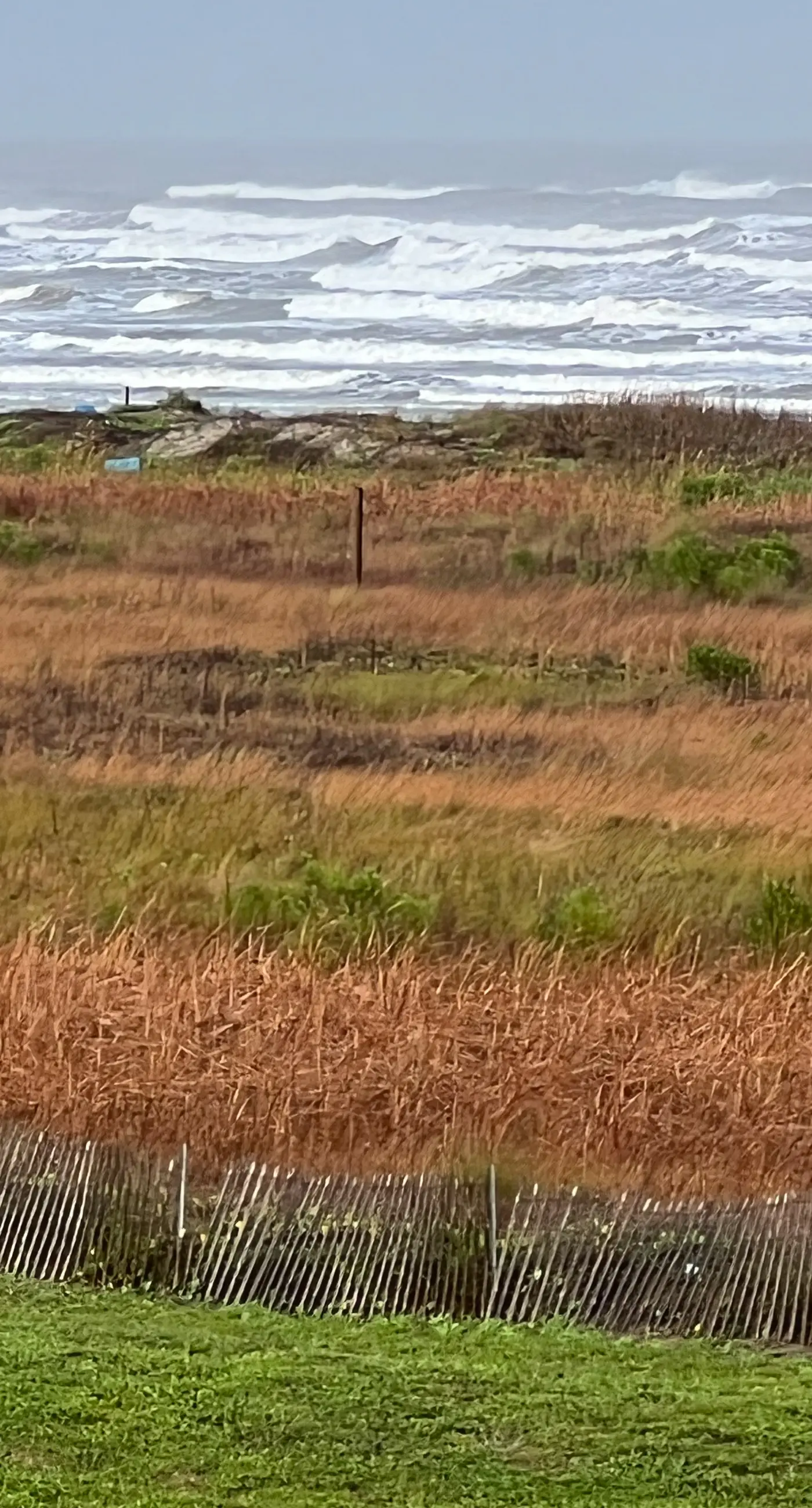Sunset Estuary