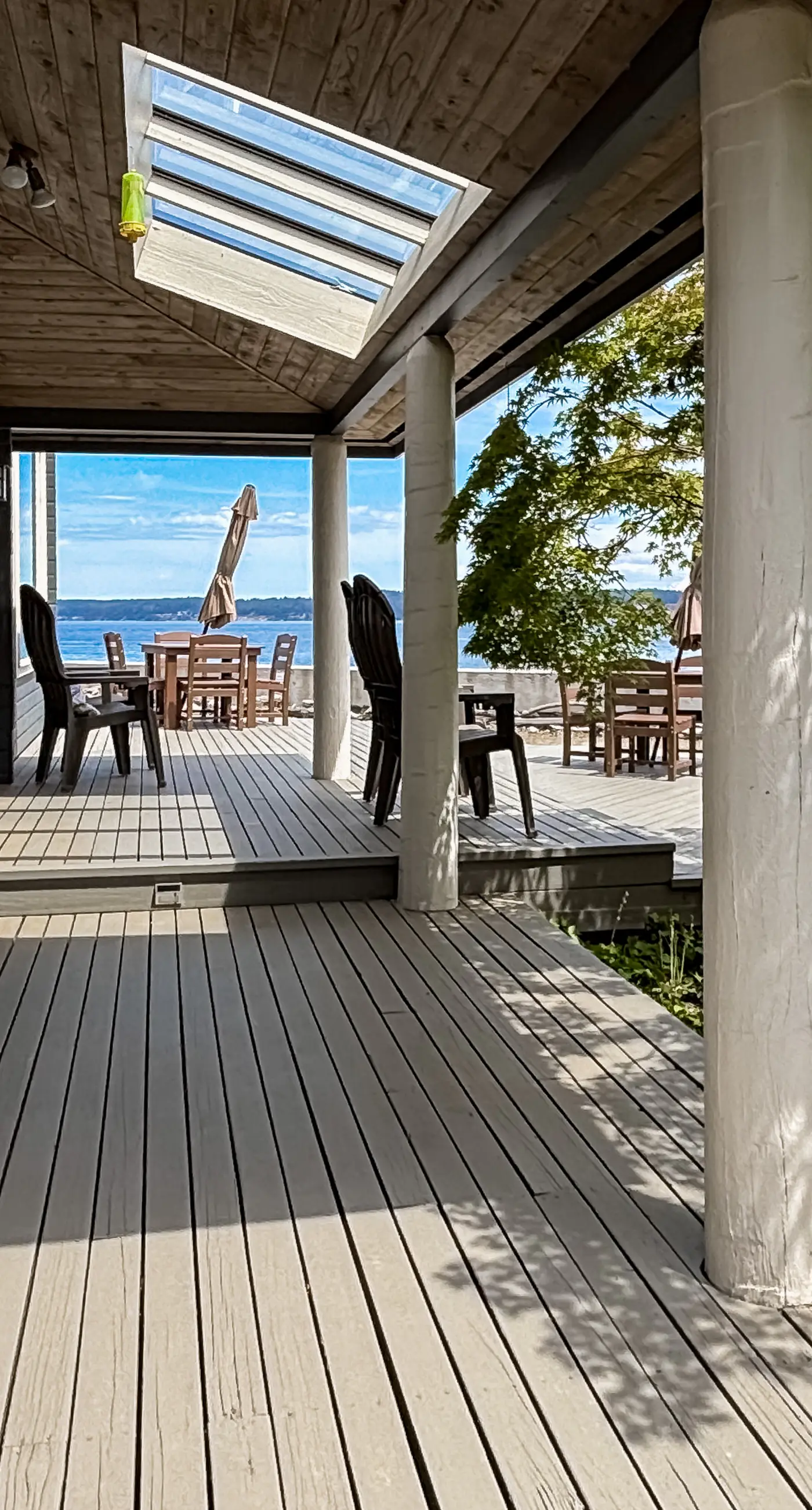 Sea Side Cedar