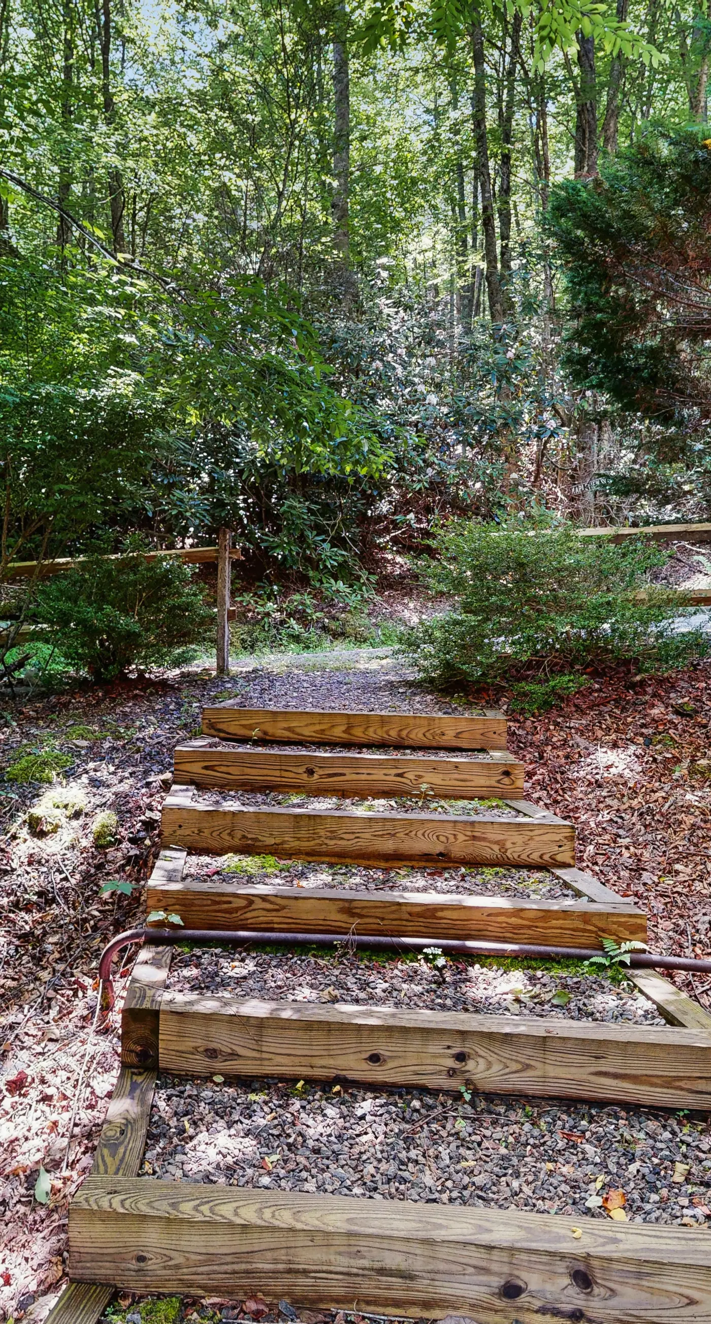 Andreas Creek Cabin #2