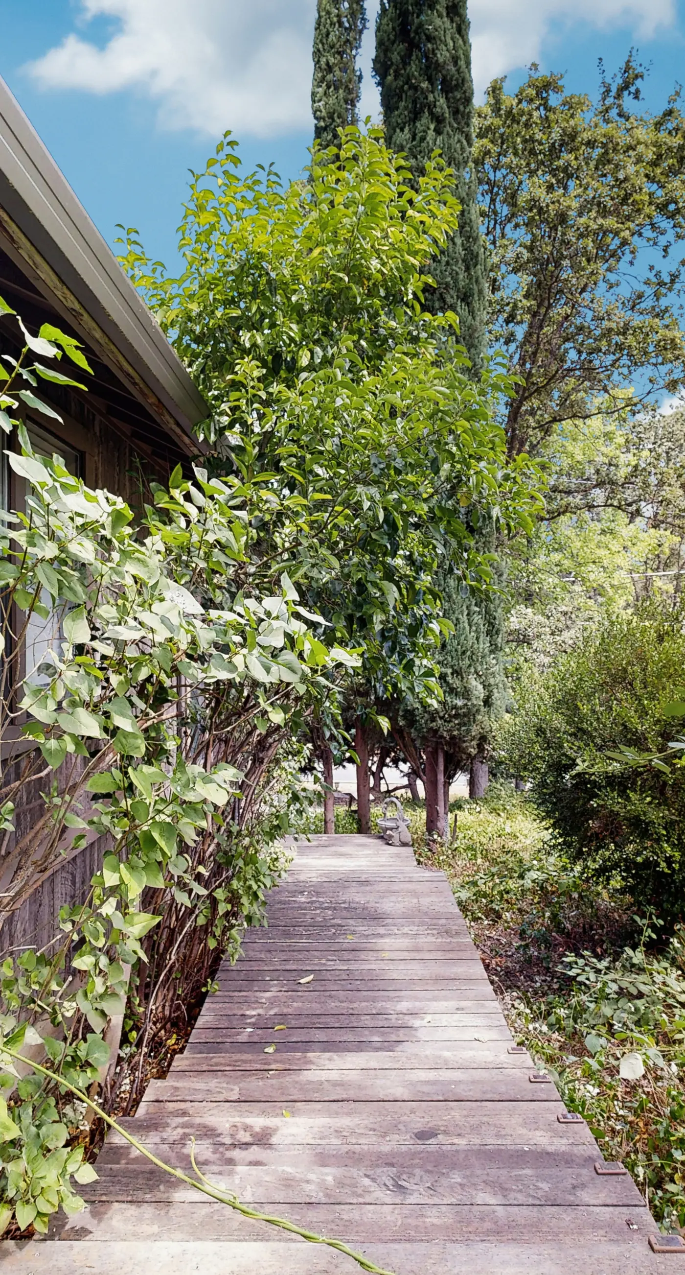 Pleasant Pines Retreat