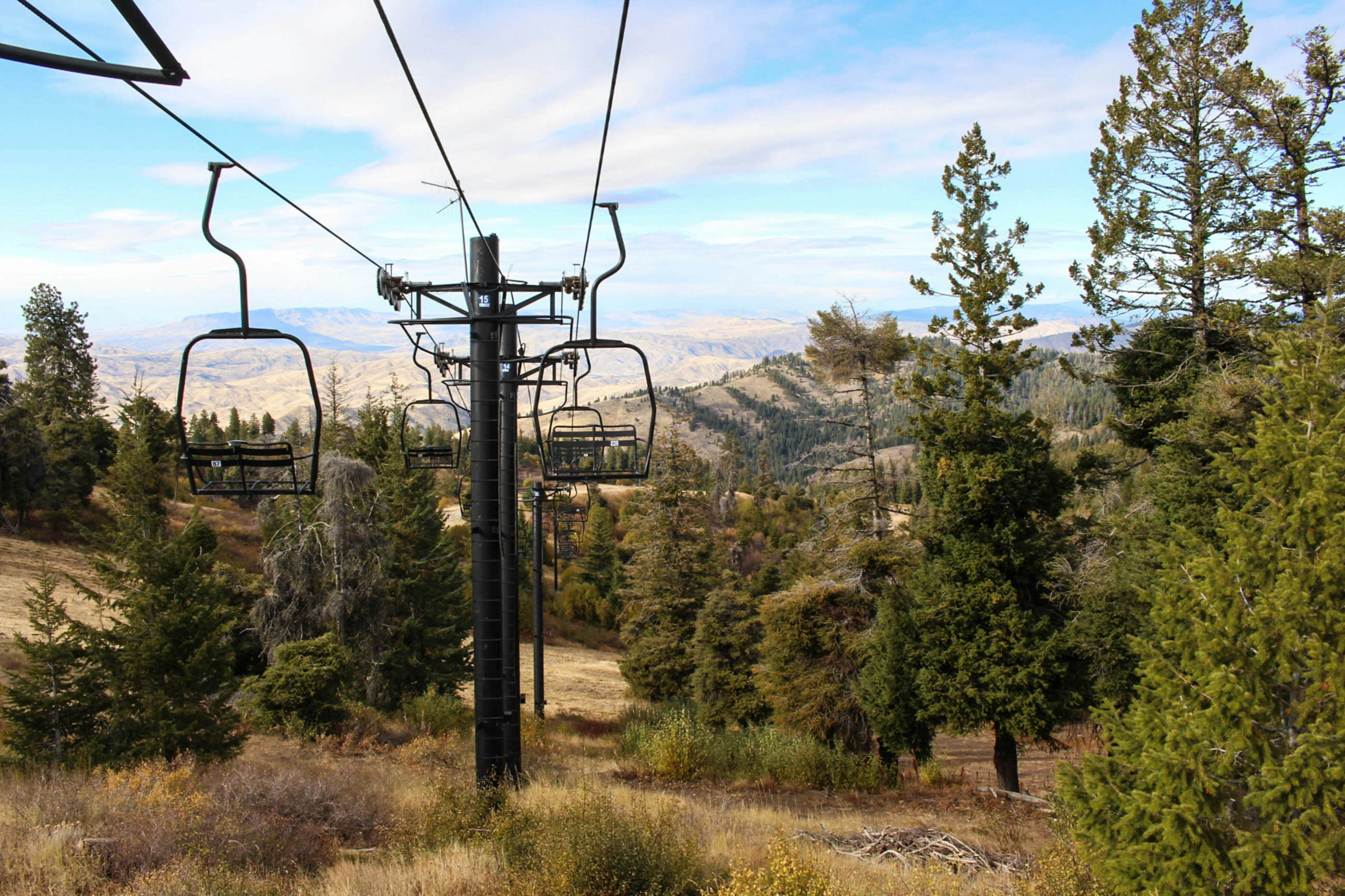 Pioneer Vista -246 F