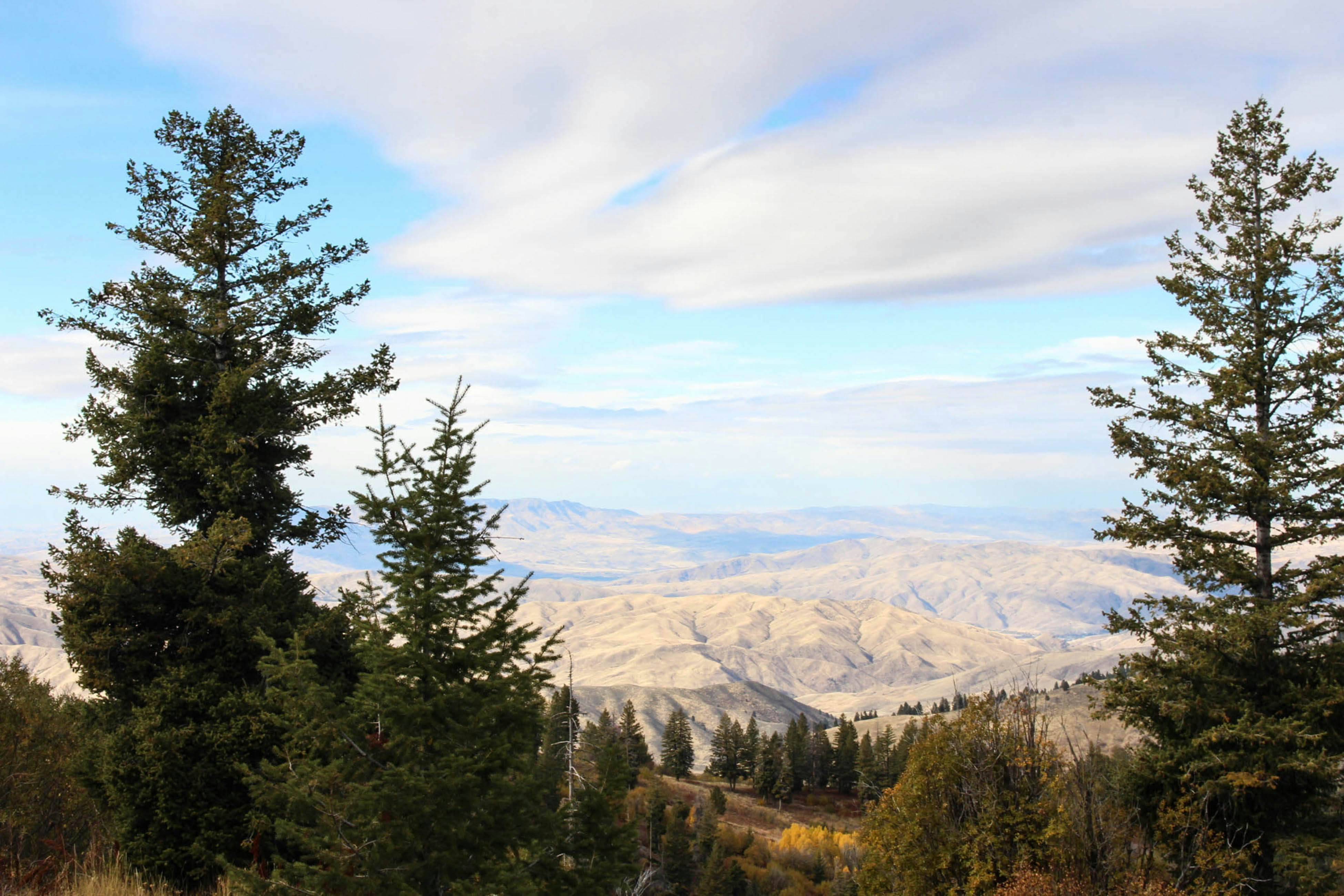 Little Deer Point -270 I