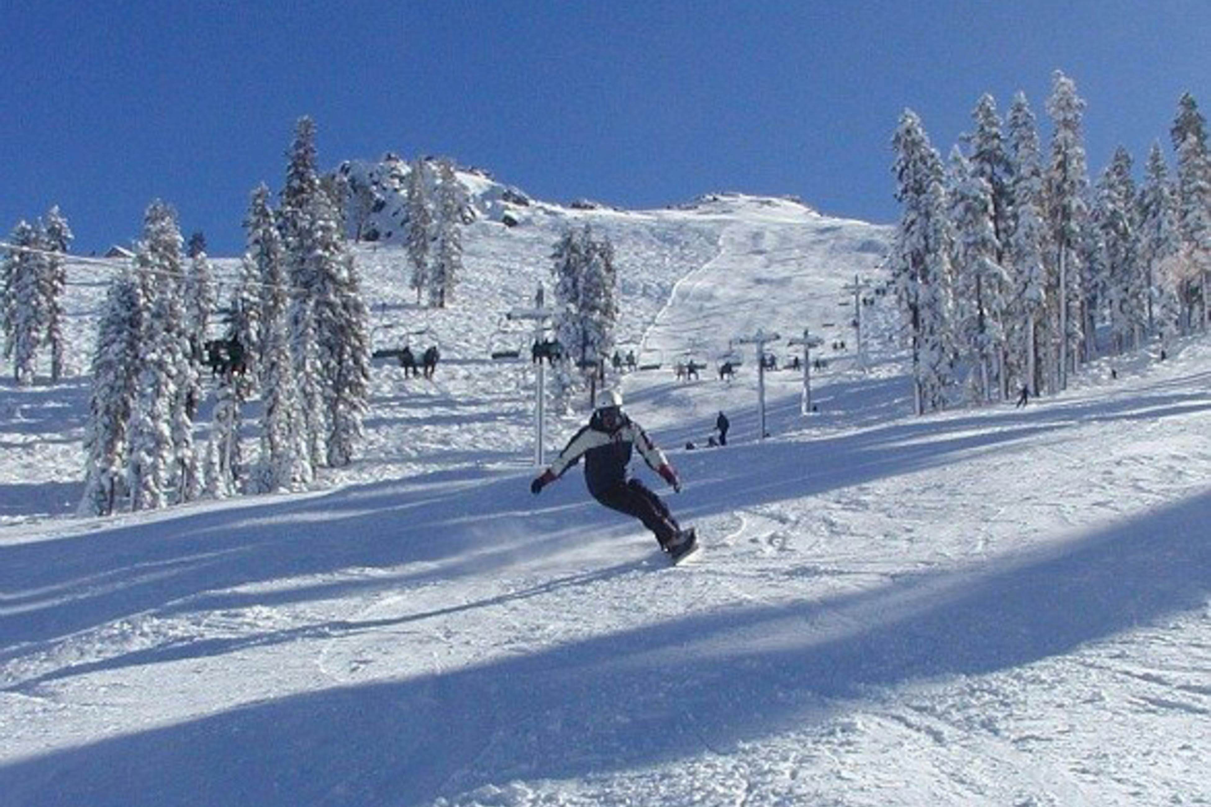 Blue Jay Condominium