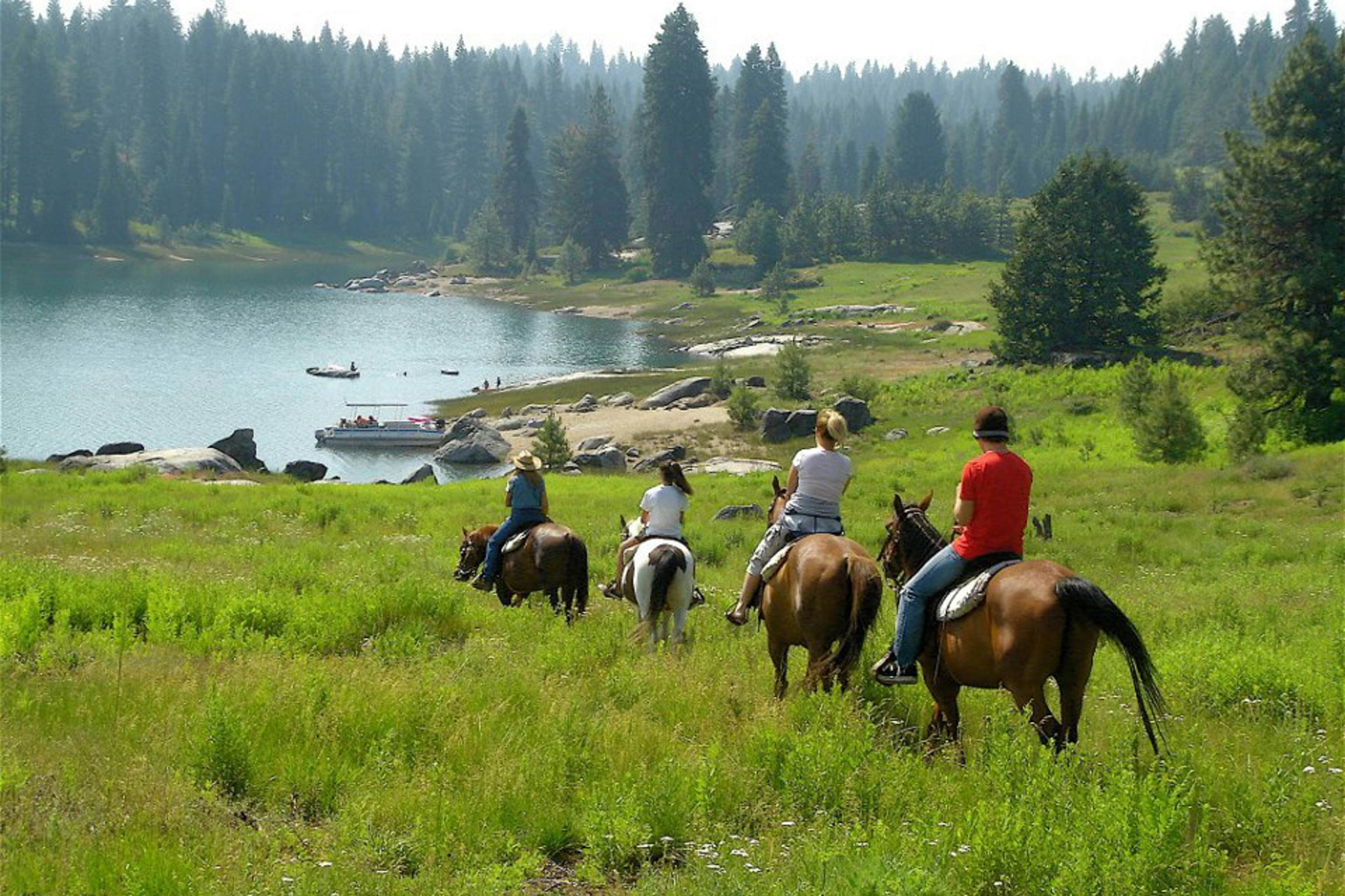 Blue Jay Condominium