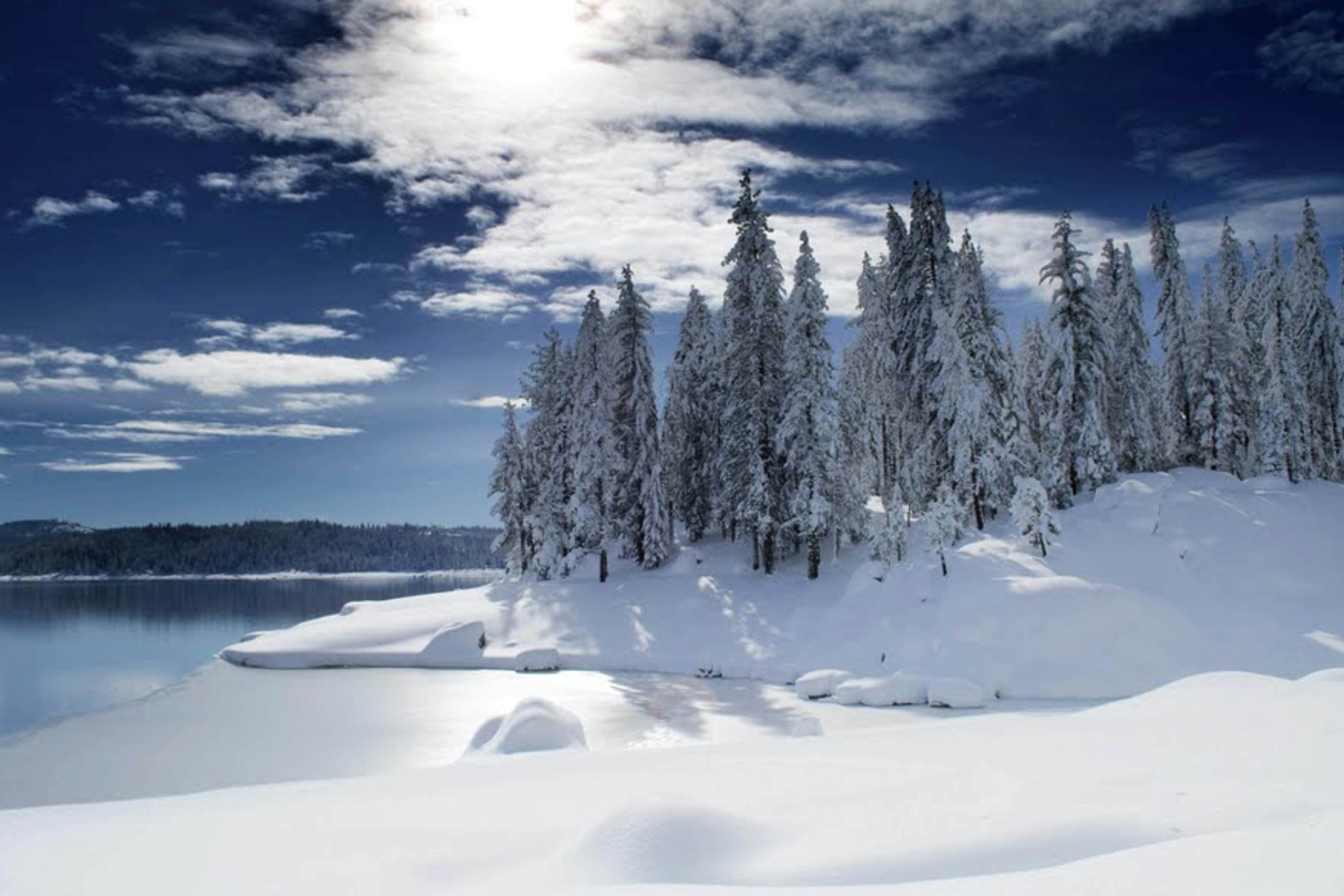 Blue Jay Condominium